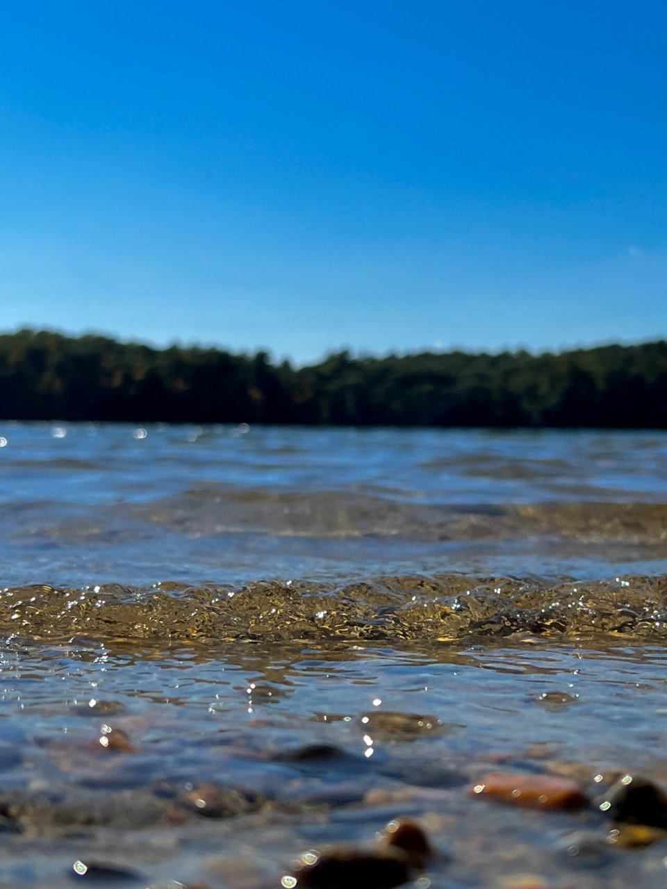 walden pond瓦尔登湖赏秋 这个周末也快是瓦尔登湖枫叶peak了 周末人