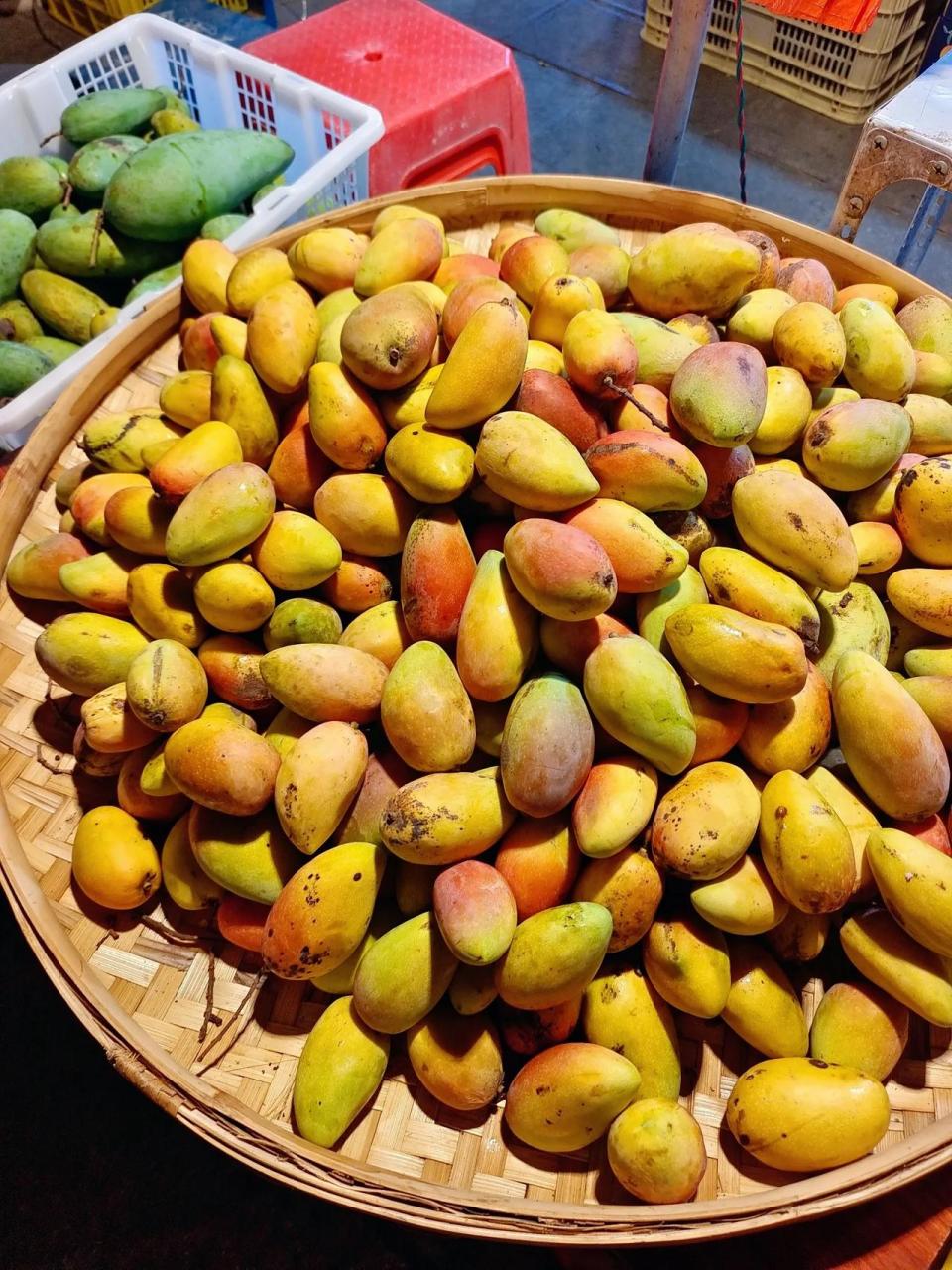 百色田阳的芒果10块钱6斤,比脸还大的芒果也38块钱10斤还包邮,四舍五
