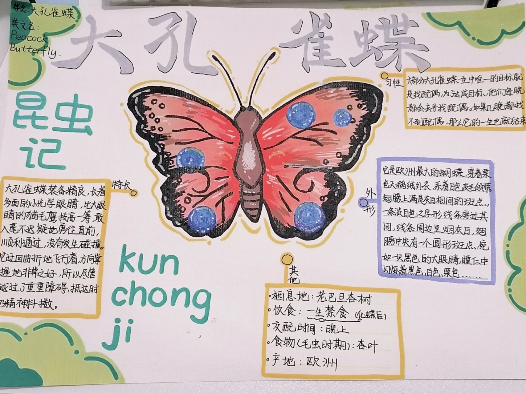 《昆虫记》大孔雀蝶 #昆虫记# 昆虫档案