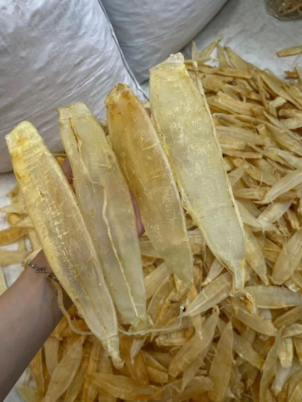 双须金龙胶94厚肉,胶质好鱼胶具有滋阴润肺的功效,坚持长期吃鱼胶