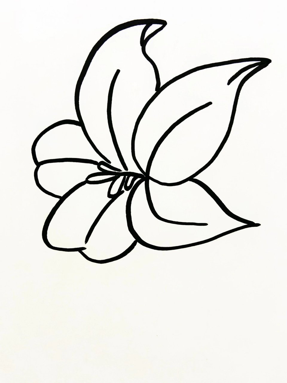 百合花简笔画教程 一看就会