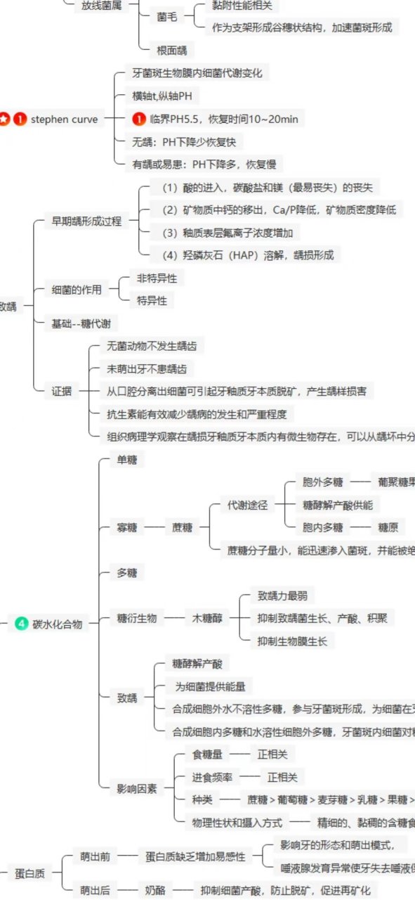 牙体牙髓思维导图 牙体牙髓 一,龋病学 1,龋病学概论 2,病因与发病