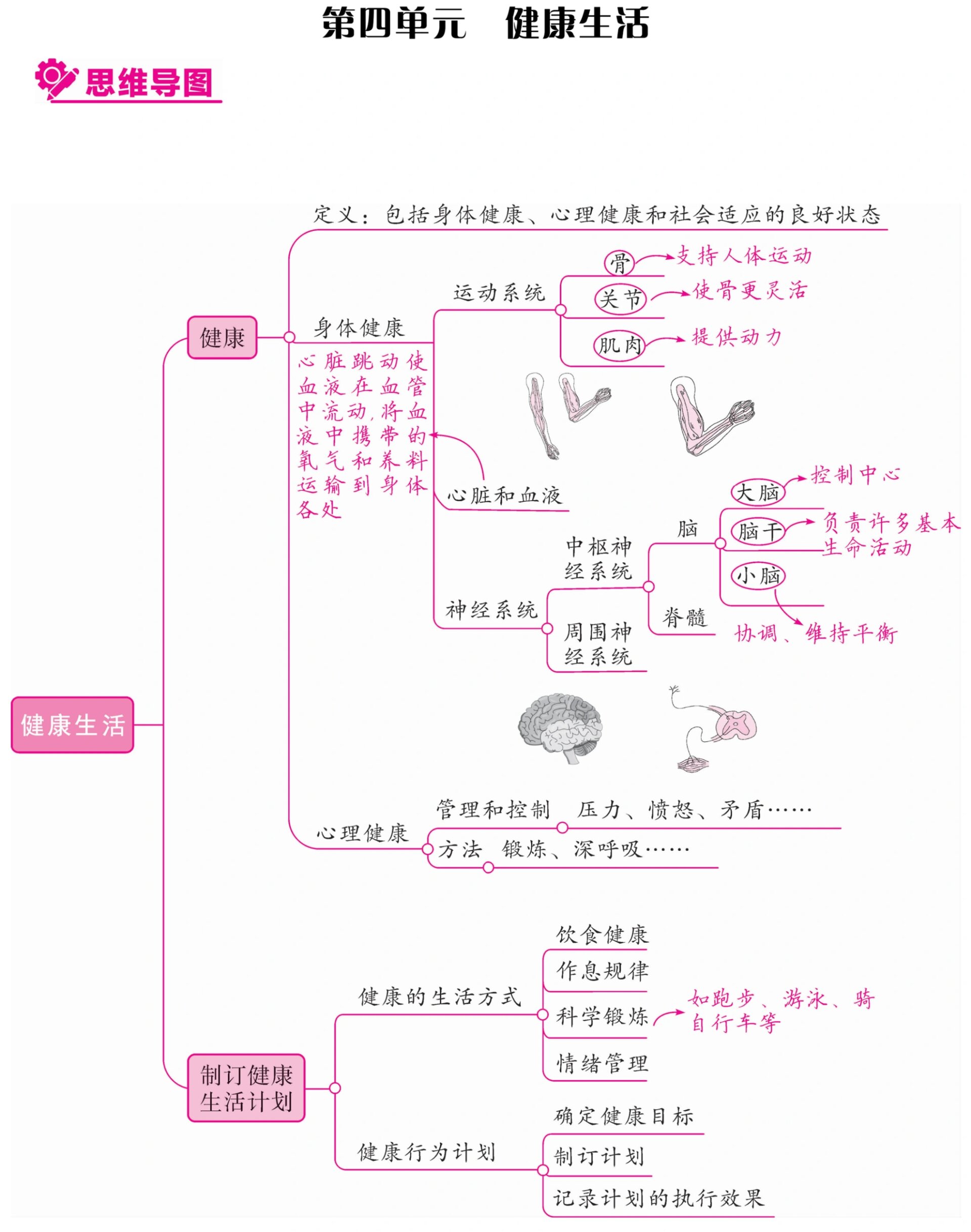 五年级上册科学四单元思维导