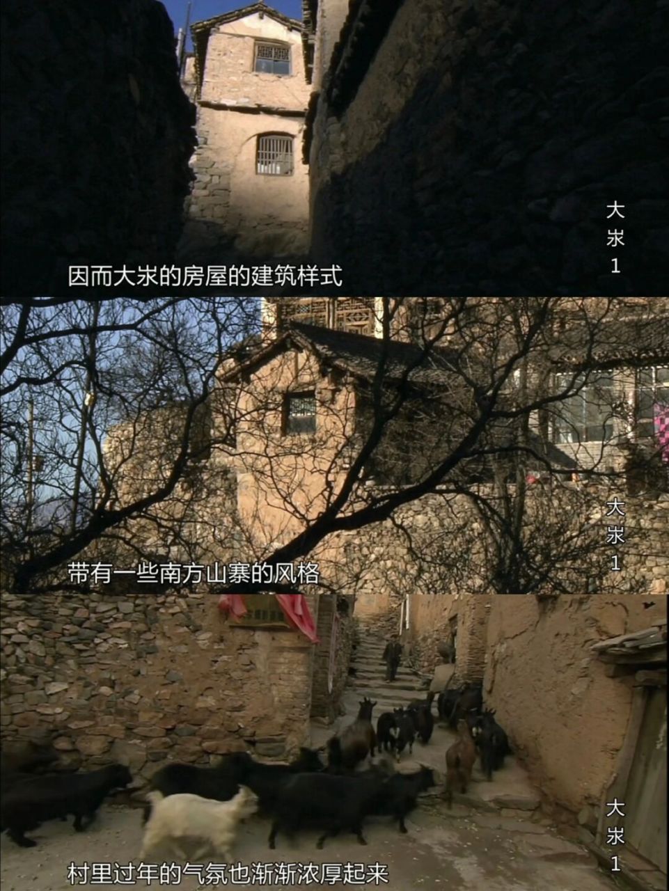 纪录片《大汖》2011年的中国千年古村落生活 99 转眼间2011年已经