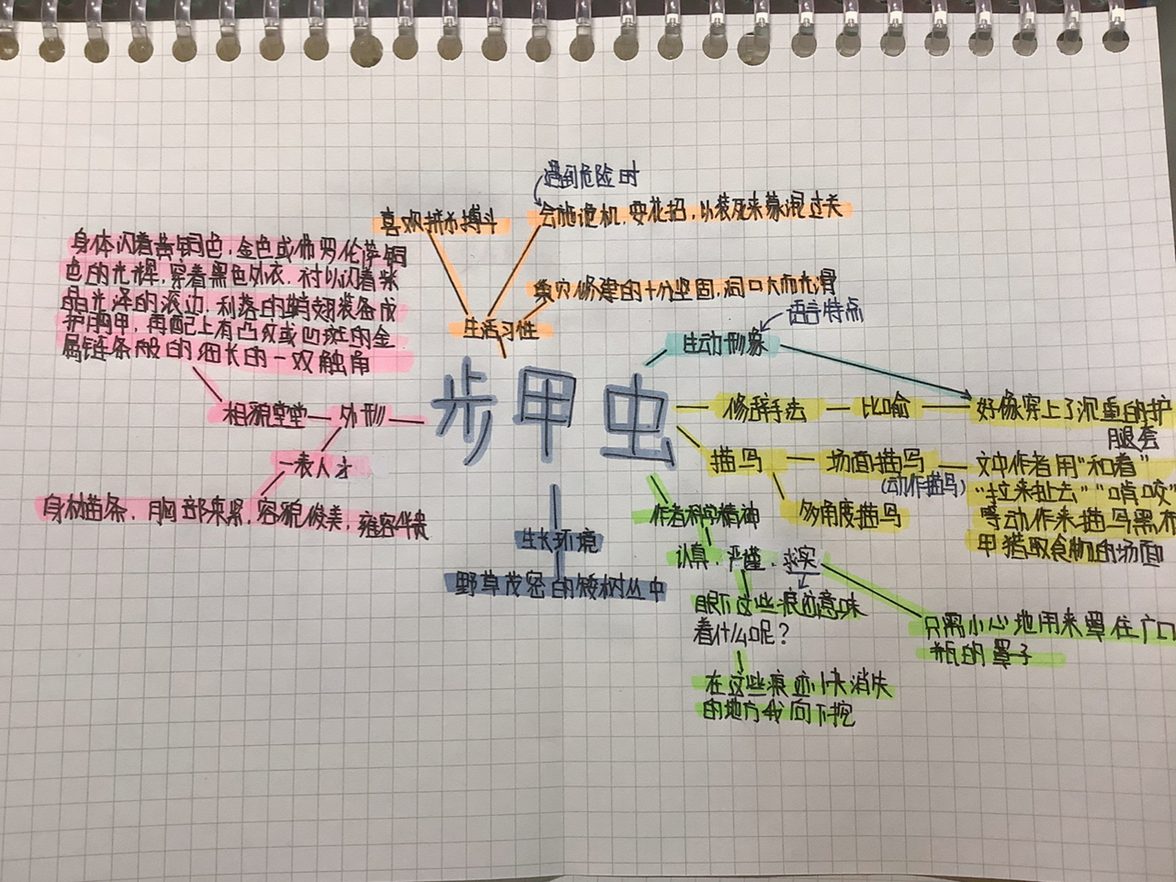 圣甲虫昆虫记思维导图图片