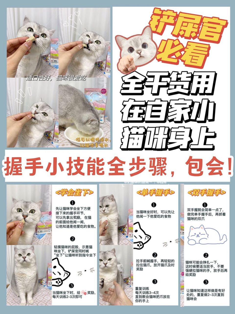 握手小技能全步骤,包会7515花式教猫咪握手 是不是在羡慕别家的