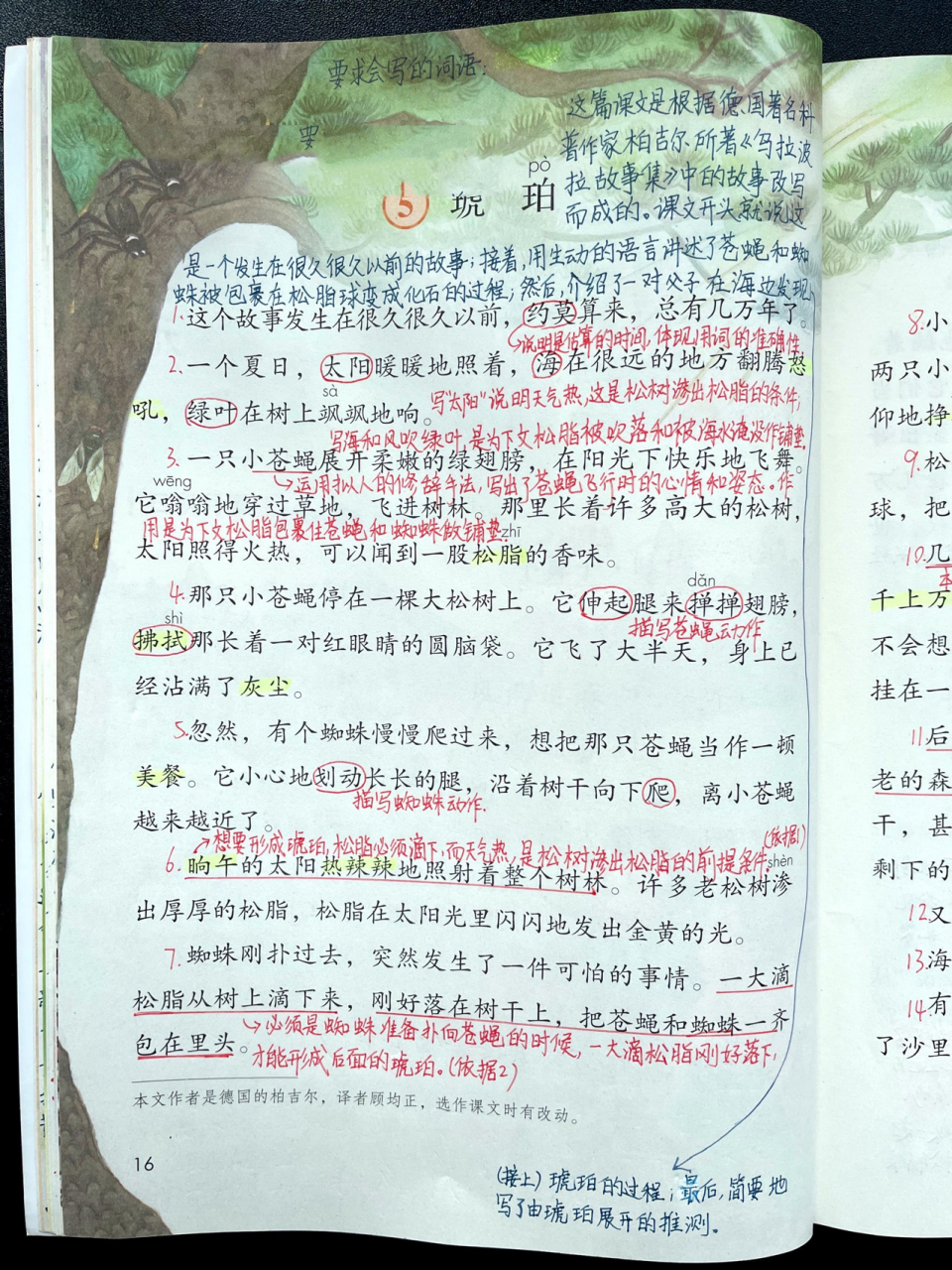 四下|四年级下册课文5《琥珀》超详细课文 部编版小学语文四年级下册