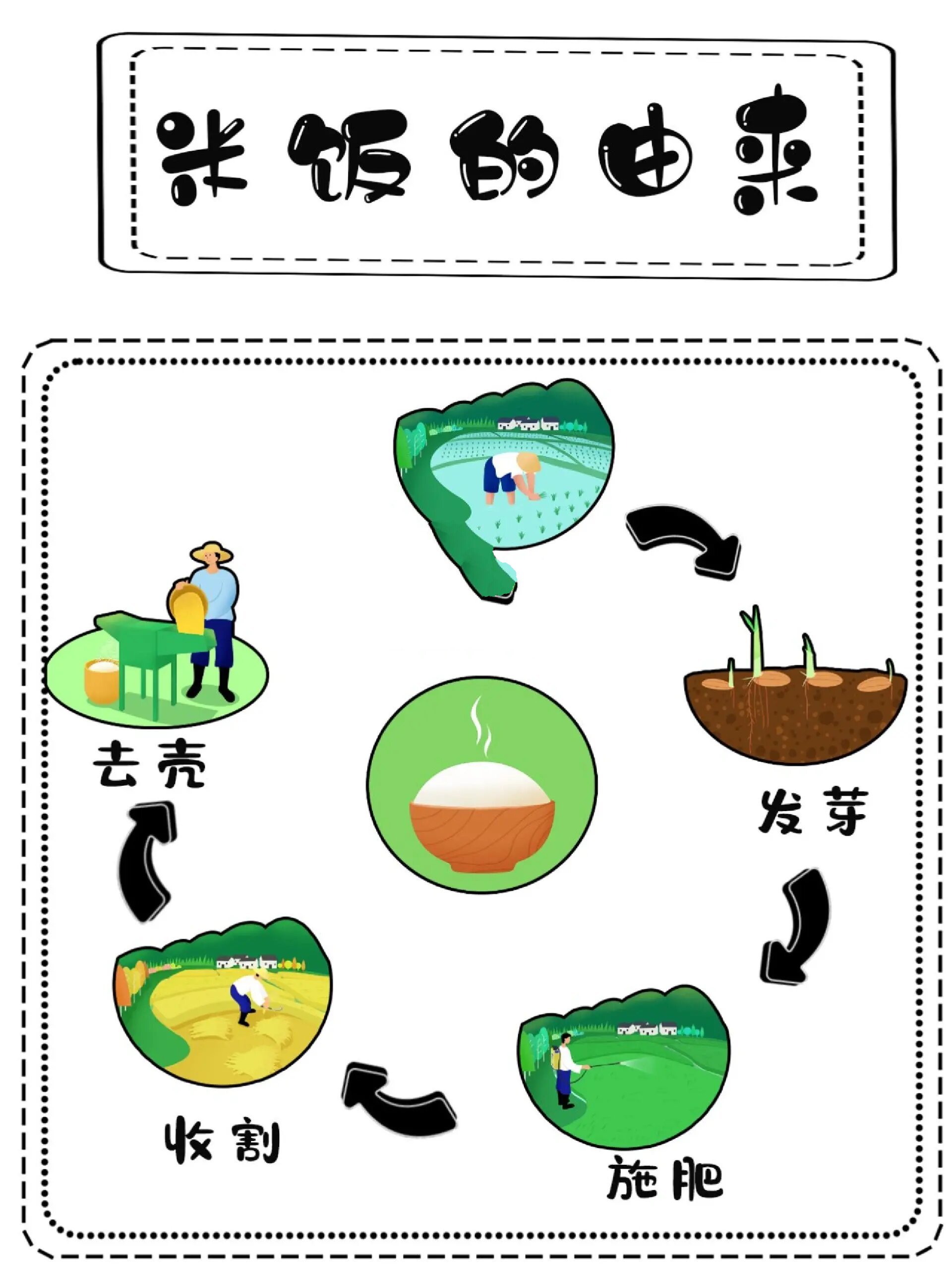 幼儿园环创素材:《米饭的由来》