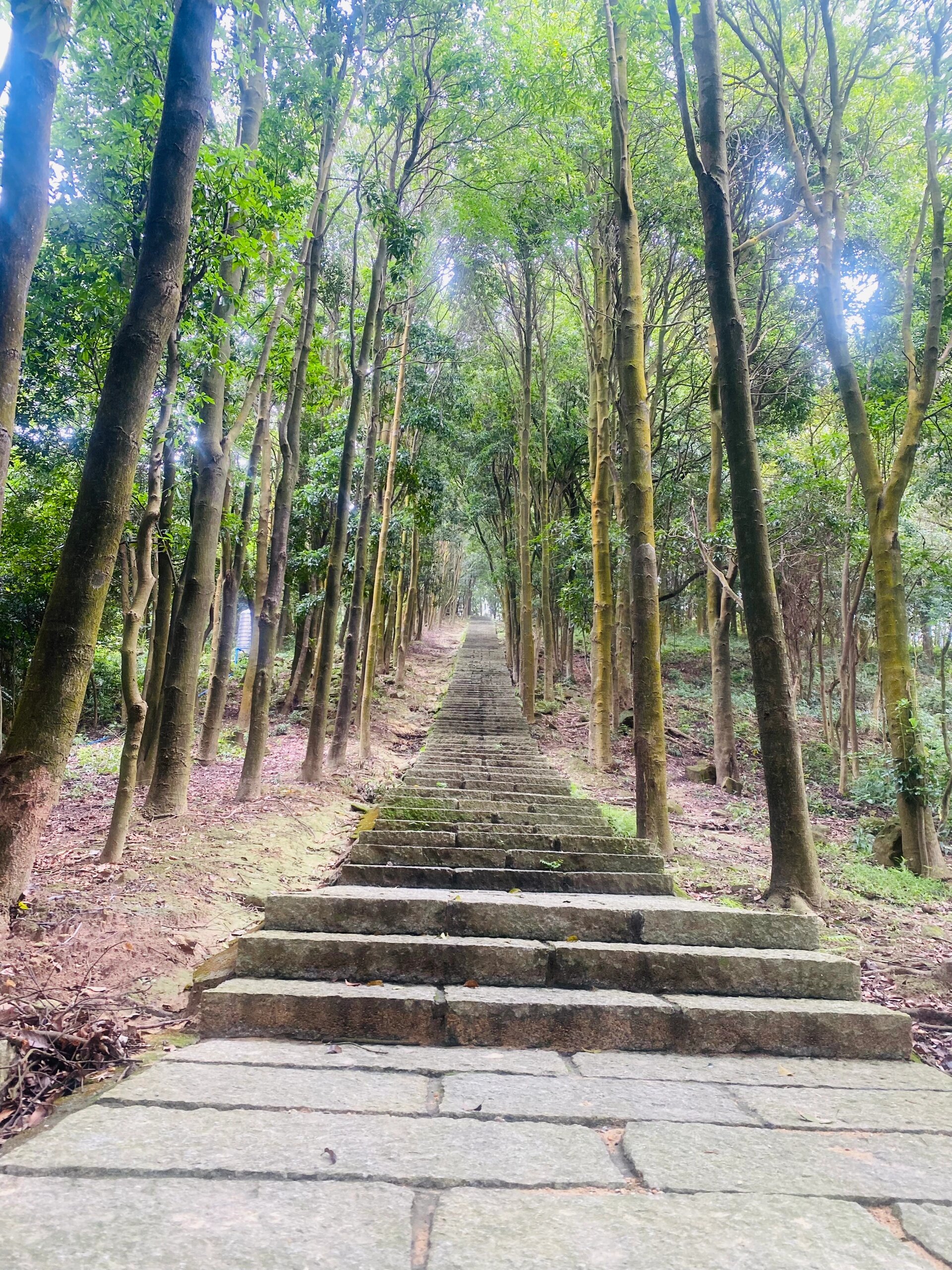 增城太子坑徒步山顶