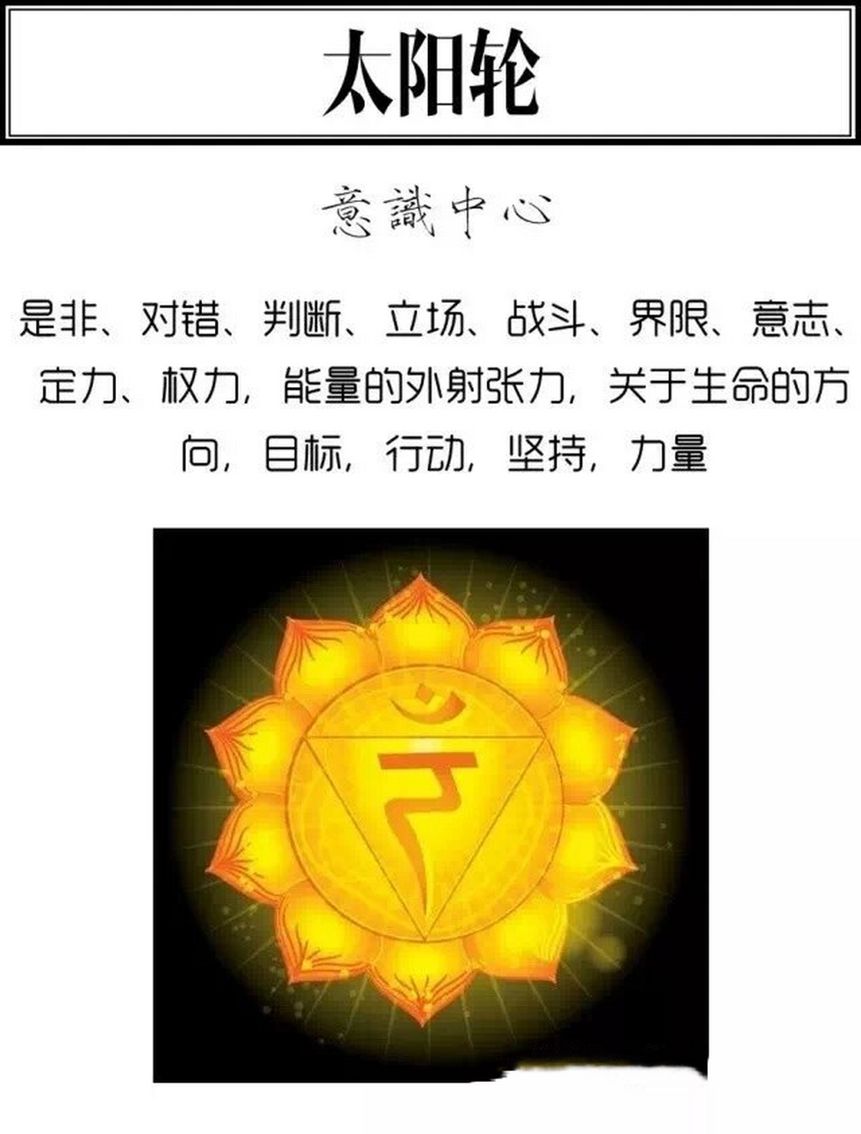 太阳丛神经分布图图片