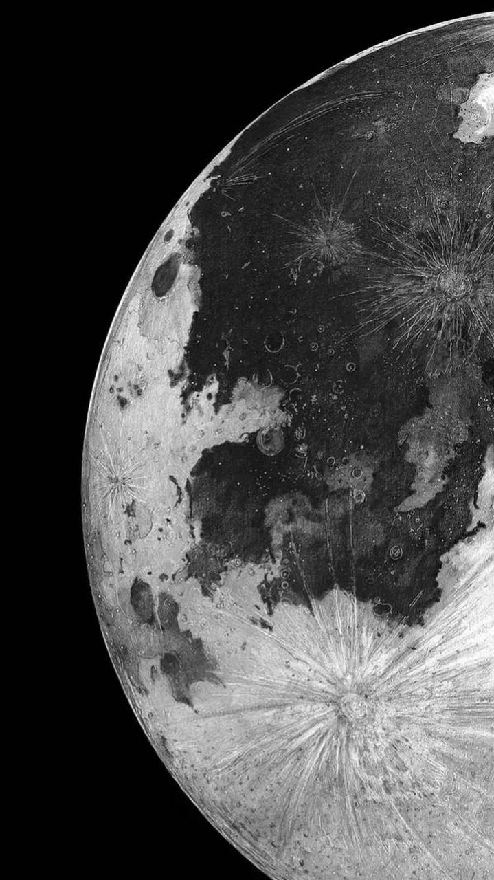 "我需要一块二向箔,清理用." 歌者对长老说. "给.