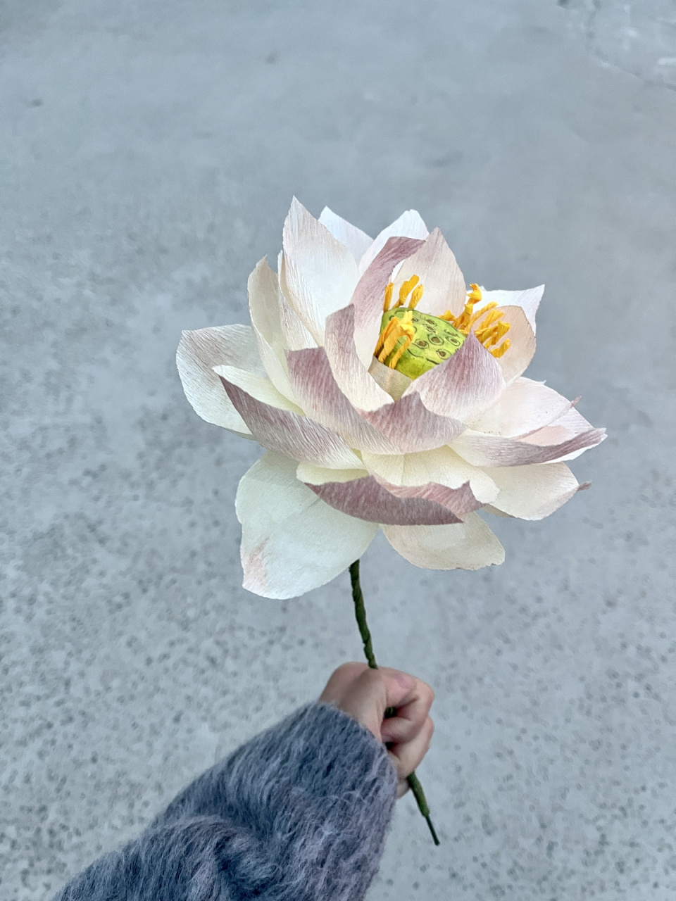 皱纹纸荷花 教程   看不懂的步骤随便问