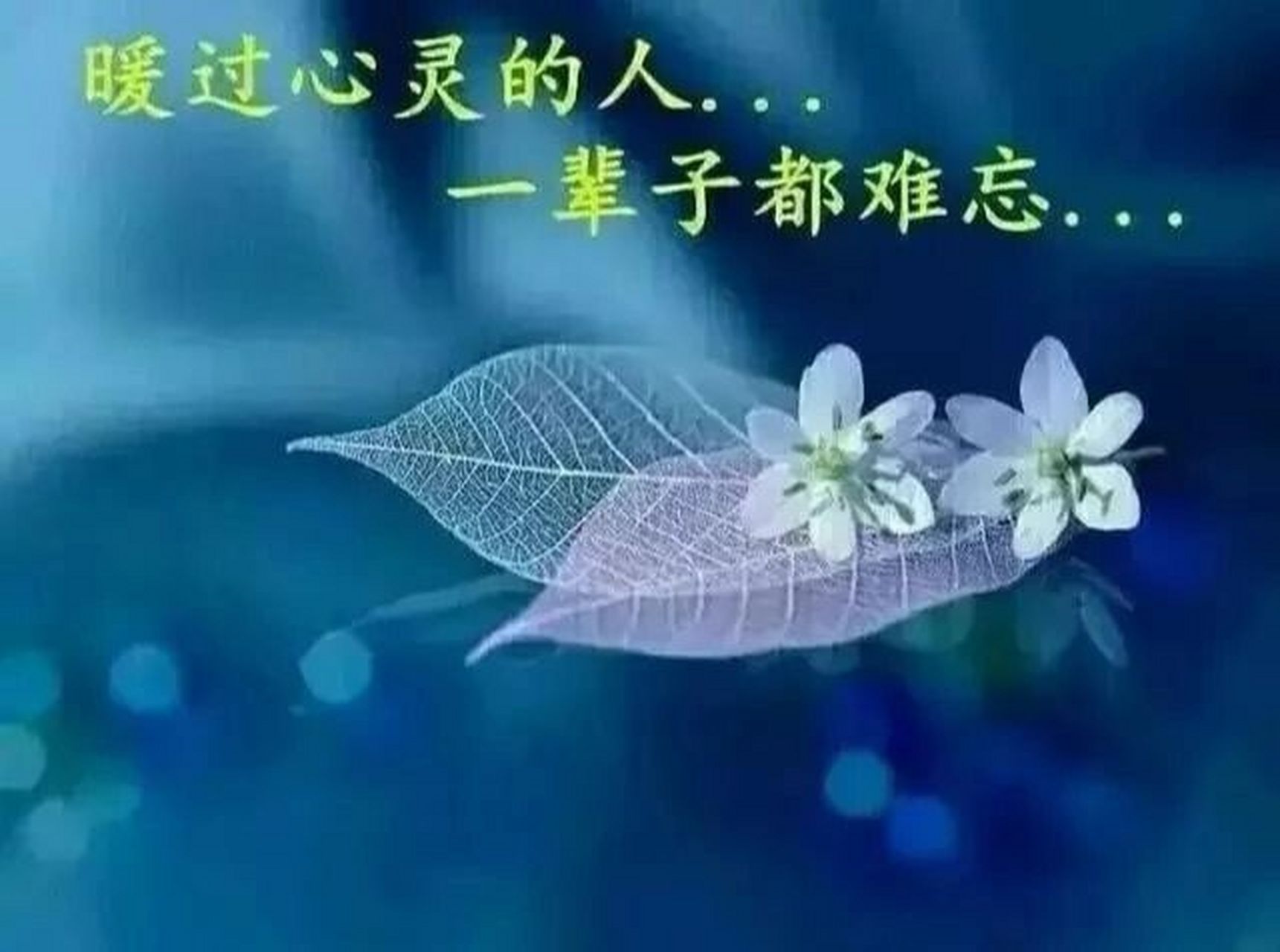 人生难得一知己,千古知音最难觅! 世界那么大,能遇见不容易.