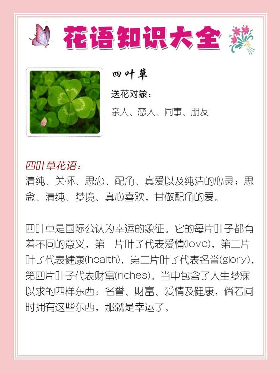 7095四叶草花语 93四叶草 送花对象:亲人,恋人,同事,朋友 四叶草