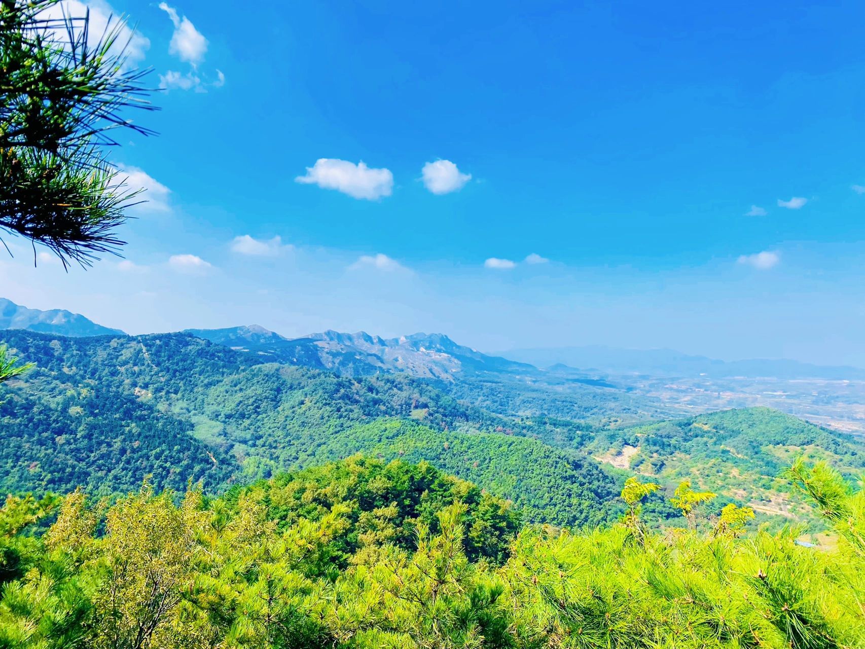 烟台朱雀山户外徒步,露营超值打卡小众景点 90地点:朱雀山森林公园