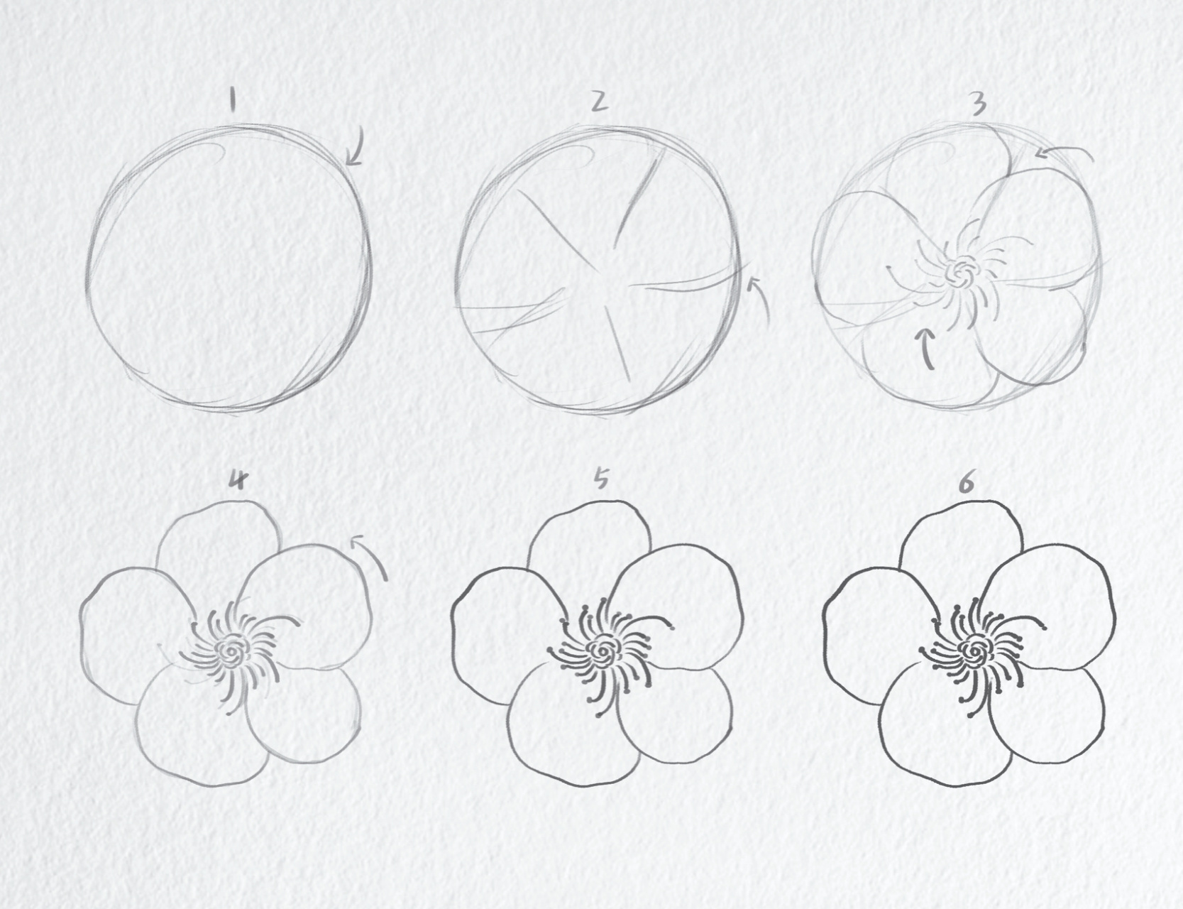 小白都不想看的吧|简笔画教程61梅花| 一树寒梅白玉条,迥临村路傍溪