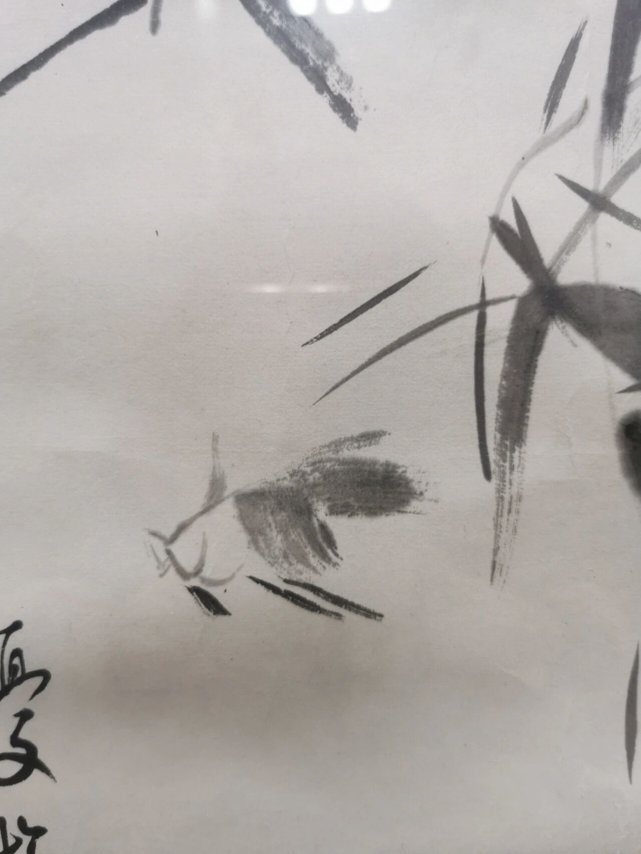 魏启后画鱼图片