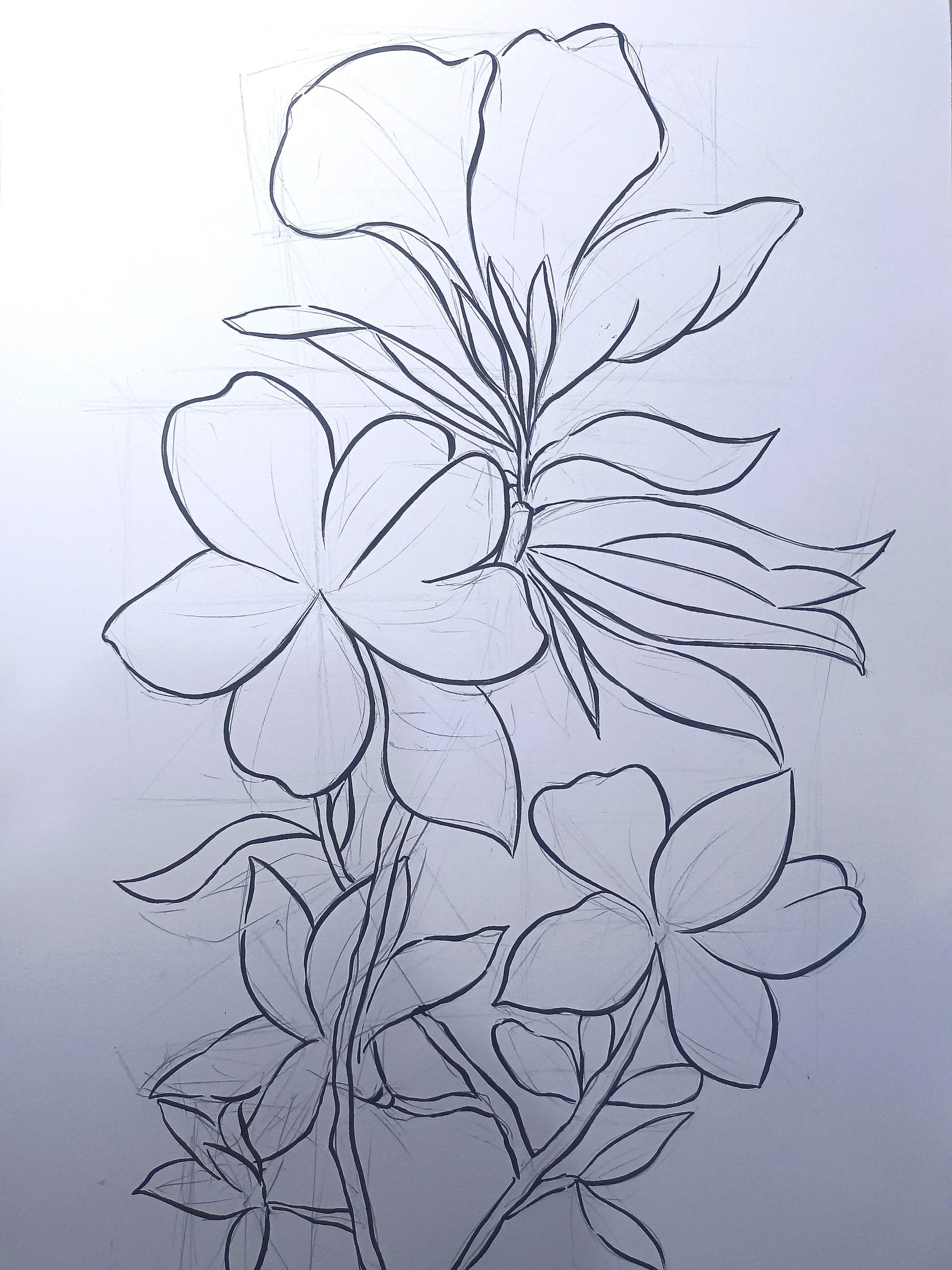 绘画教程18——杜鹃花