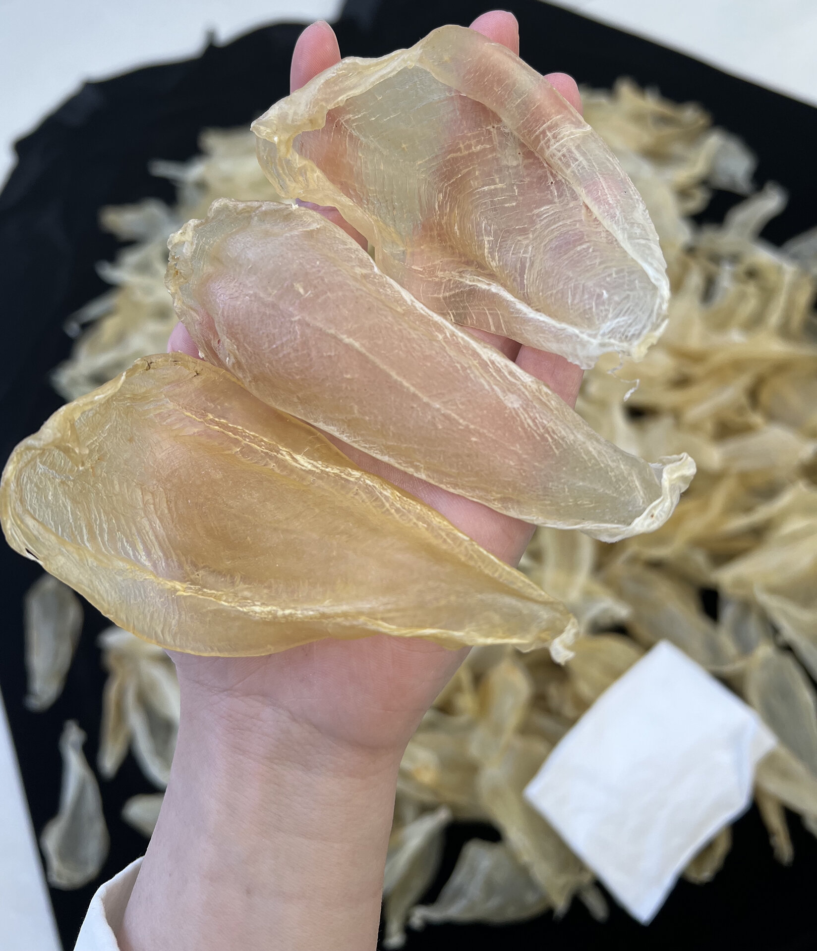 70多头印尼白花胶,对女性的.@保健品小锦囊的动态