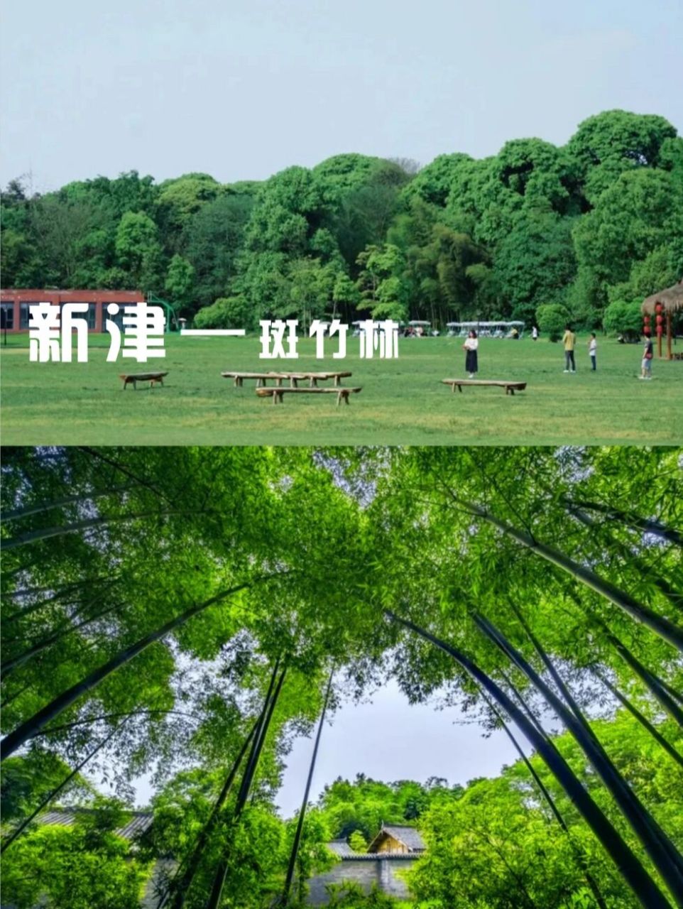 新津斑竹林,就很好的解决了户外遛娃的痛点.