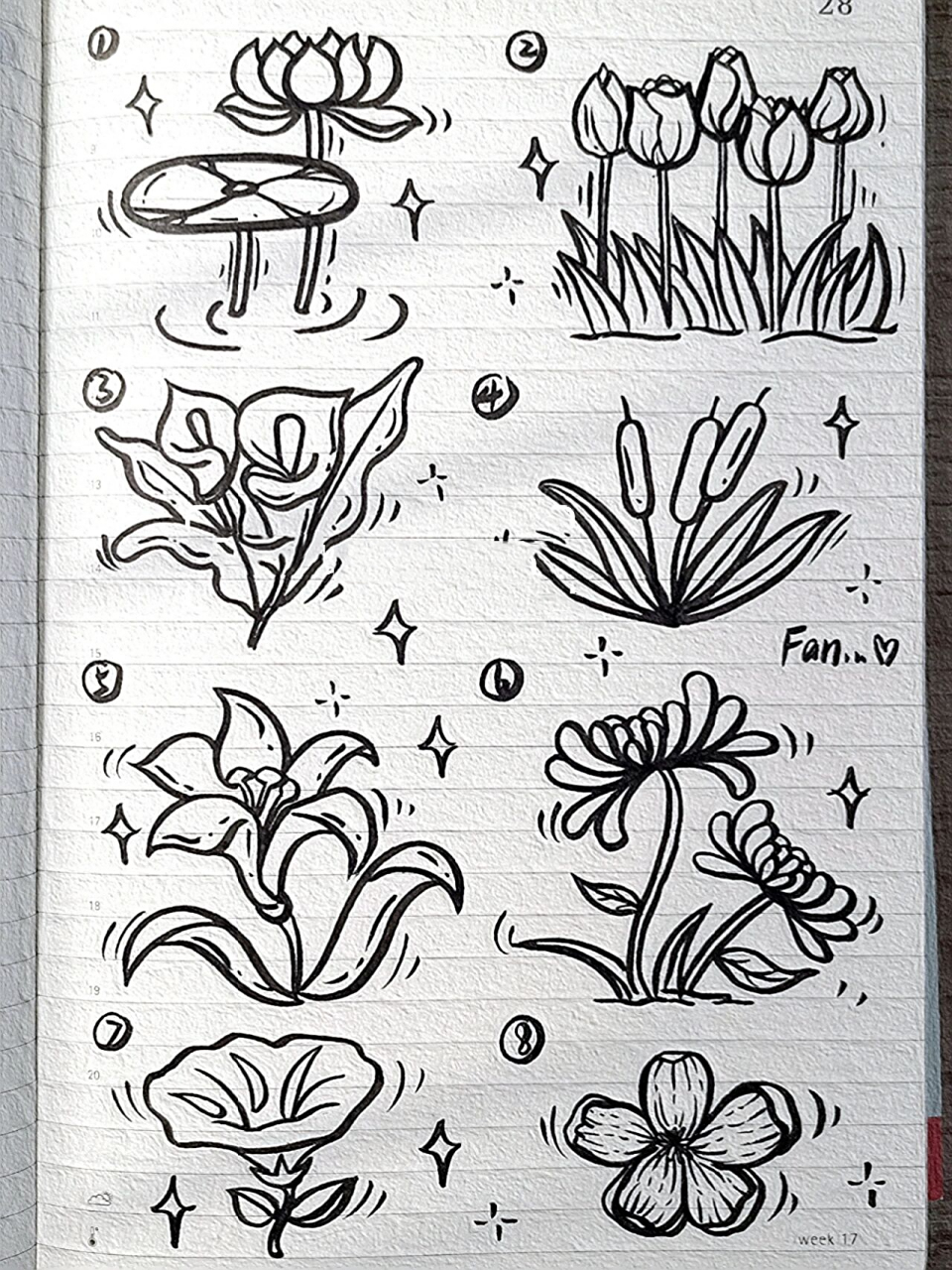 今日简笔画(71)‖八种花花94画法78