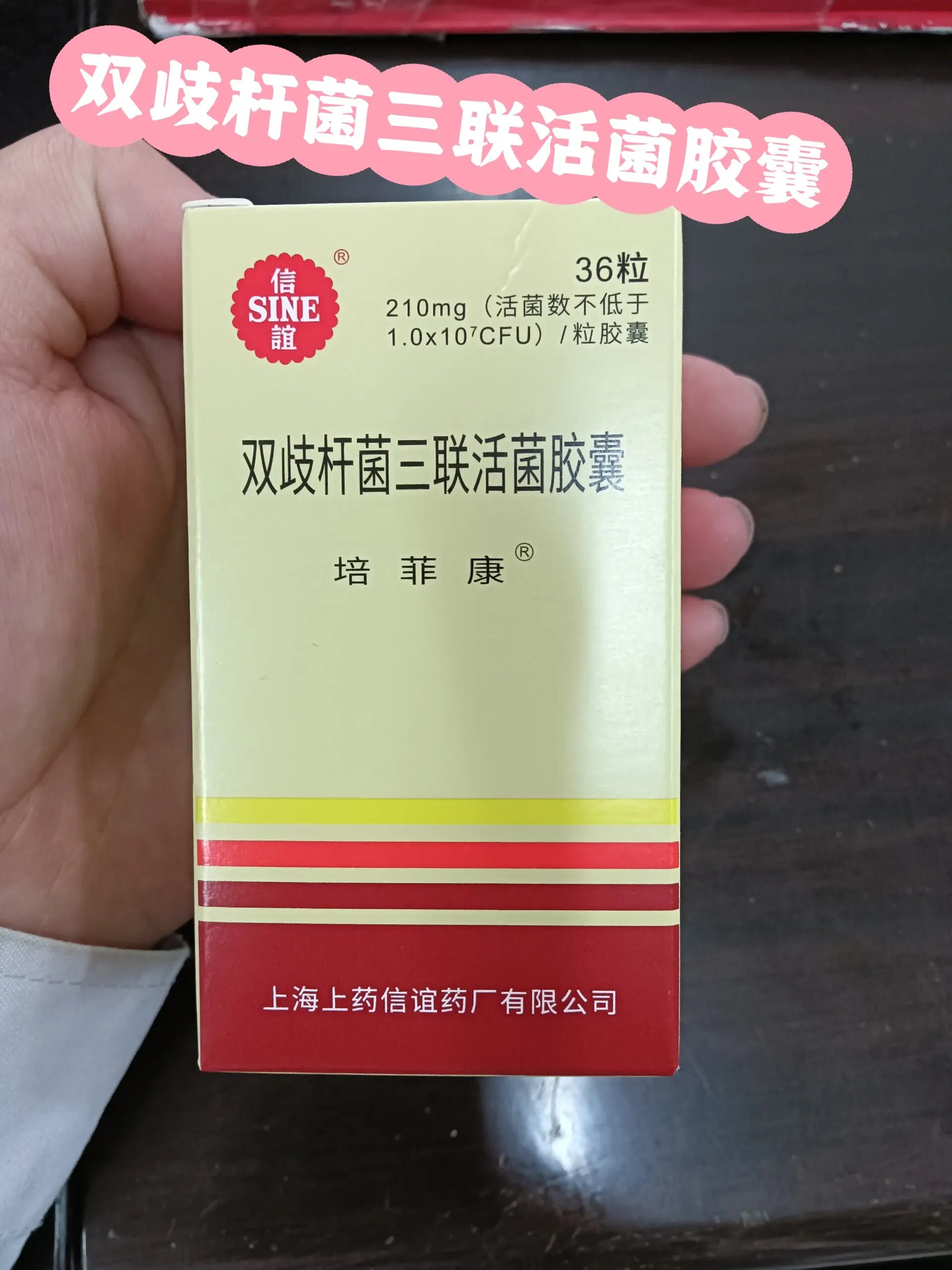 双歧杆菌照片图片