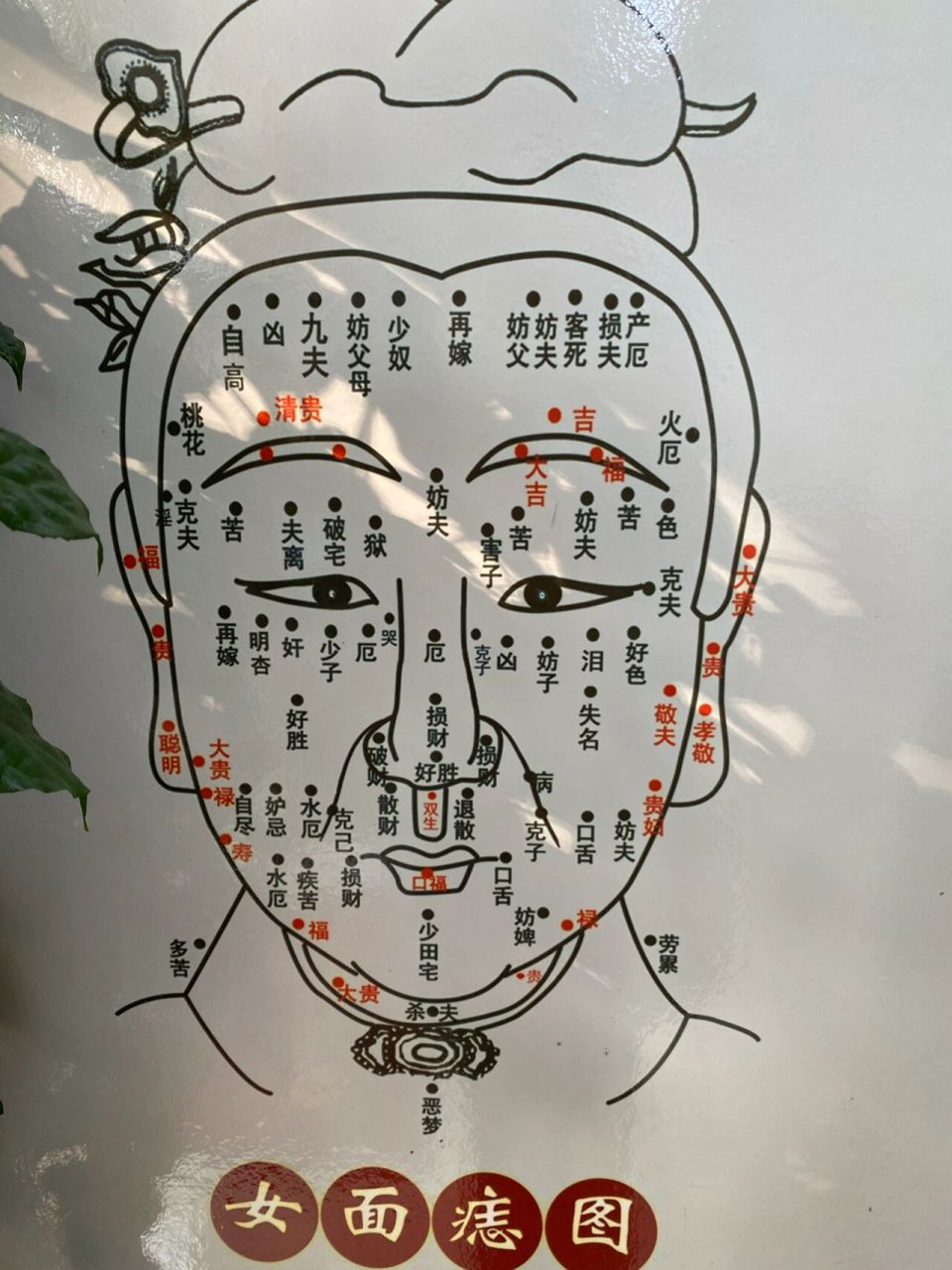 最靠谱的痣图 留下福气痣,祛掉应该祛的痣.