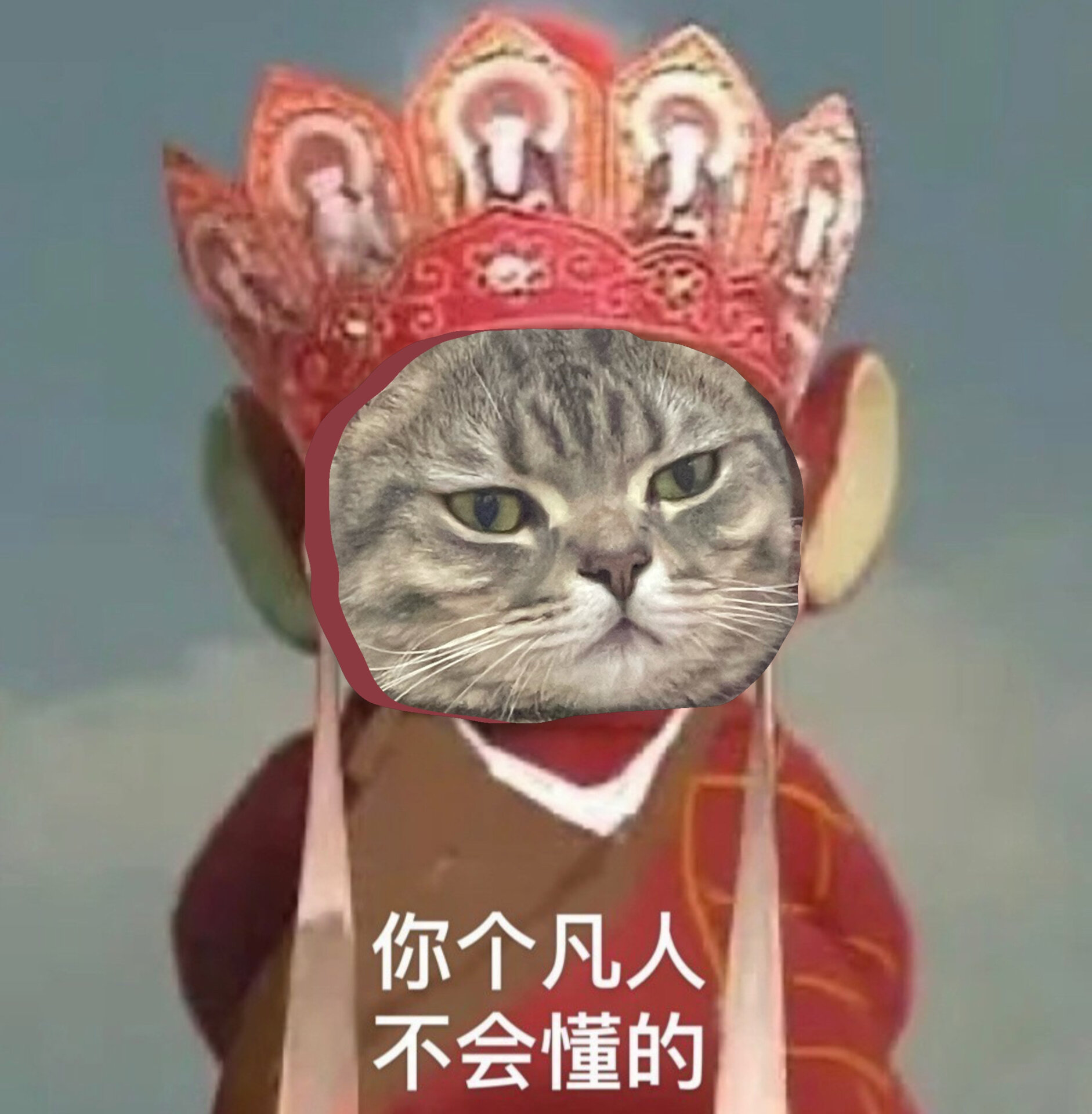 贫僧来了03多图表情包奉上 小棒 x 唐僧猫猫头[得意] 也太好笑了吧