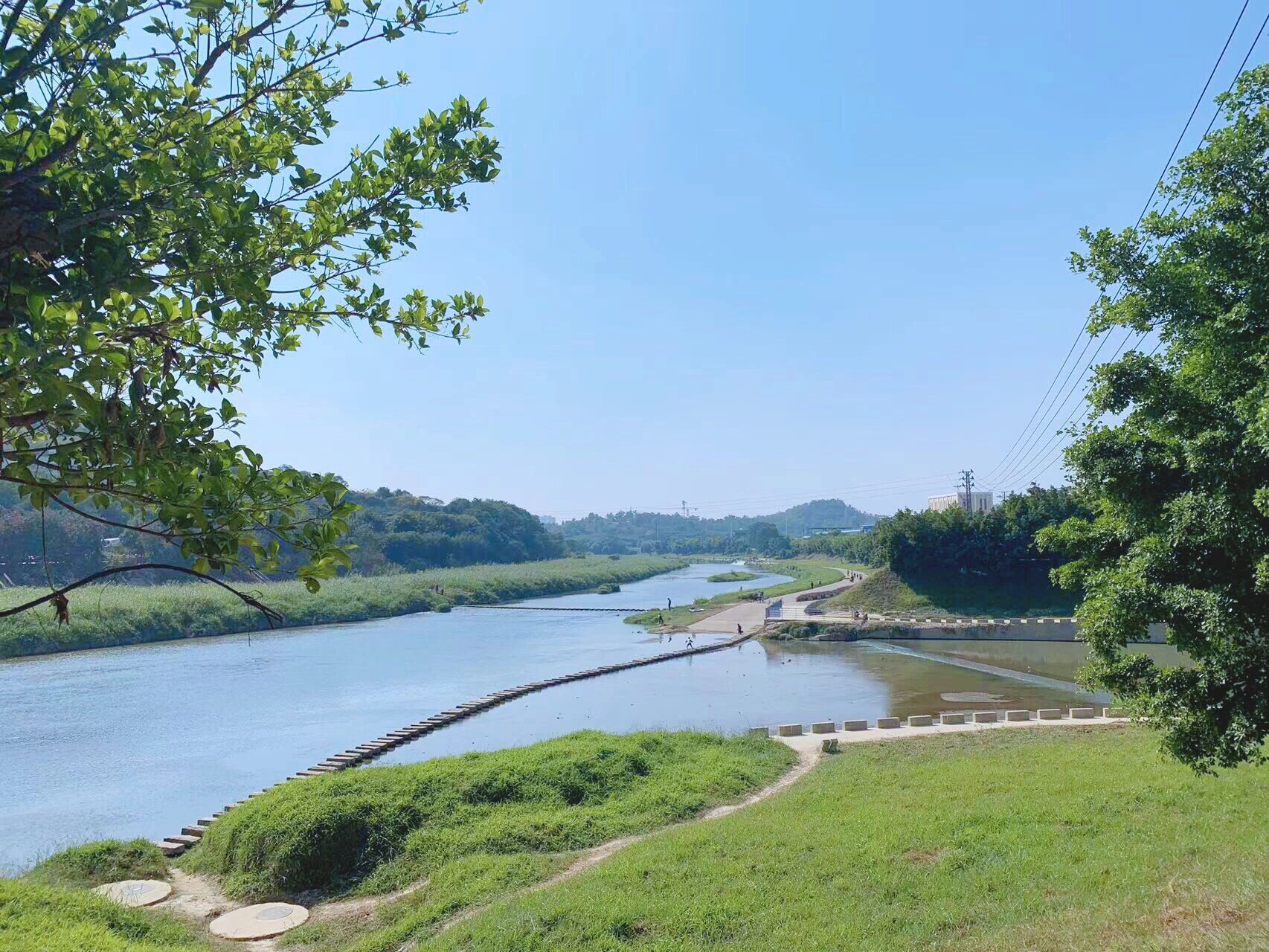 龙岗免费景点坪地湿地公园 第一次来 感觉很可 感觉很适合带父母孩子