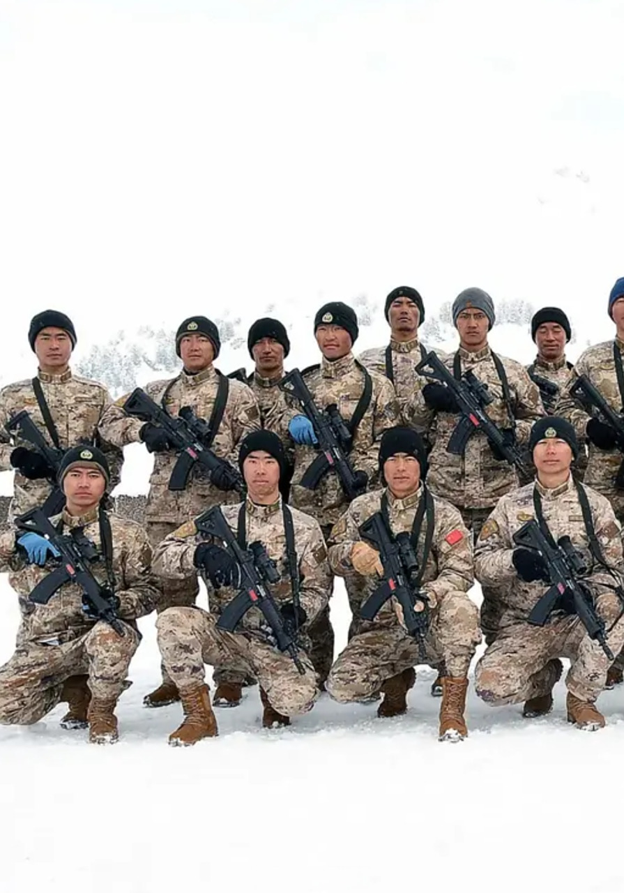 20式步枪在欧洲.