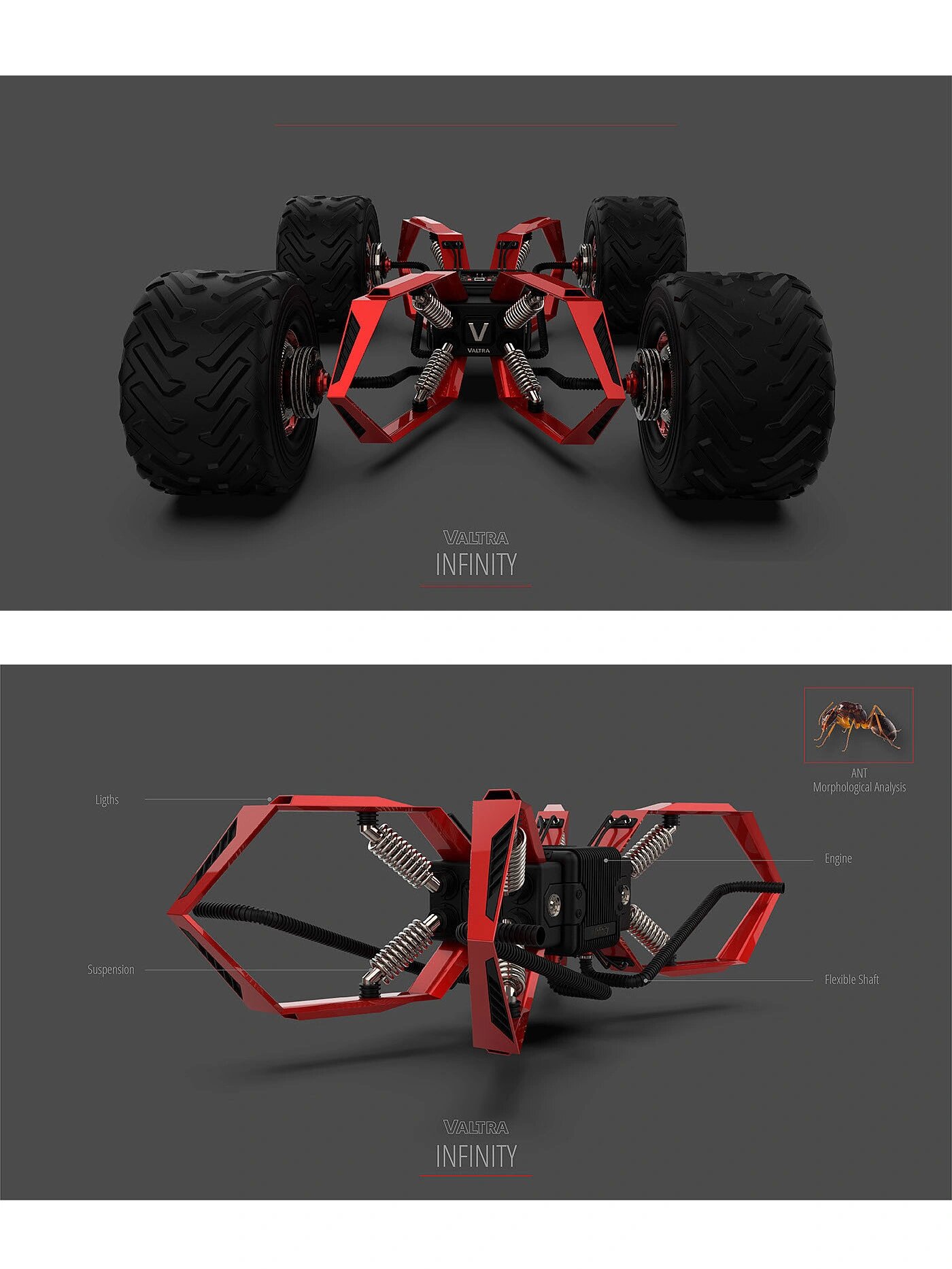 仿生设计 | 当蚂蚁遇上产品设计