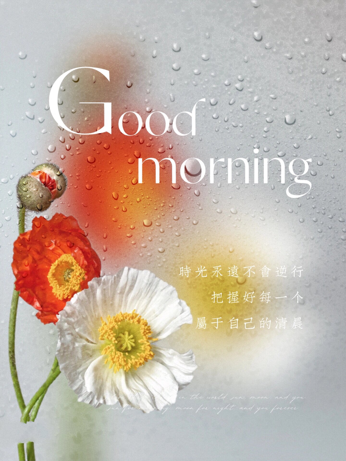 适合早晨发朋友圈的文案|早安语录合集