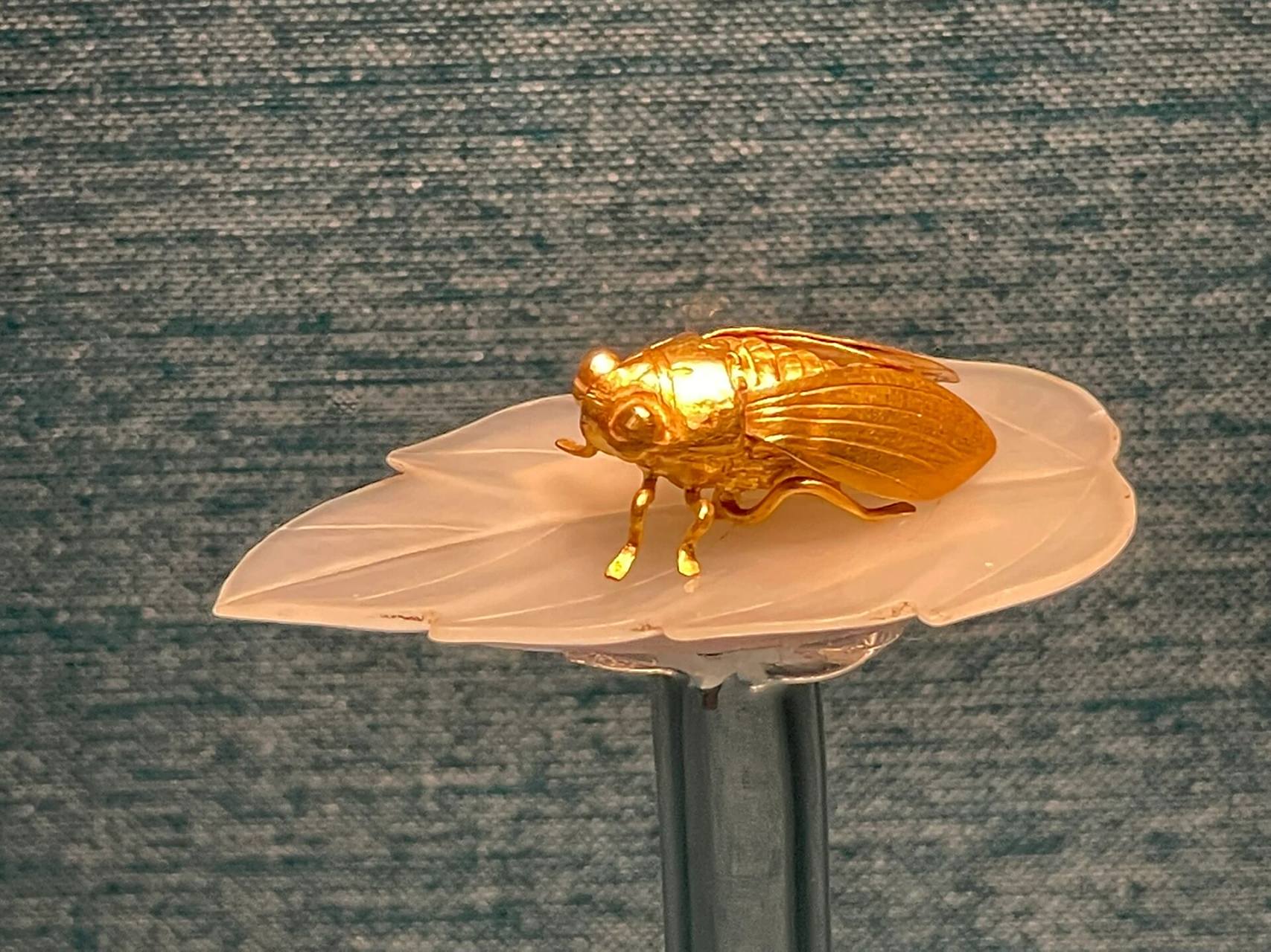 南京博物院 最近去南京博物院的千万别忘了看金蝉玉叶,据说这个宝贝