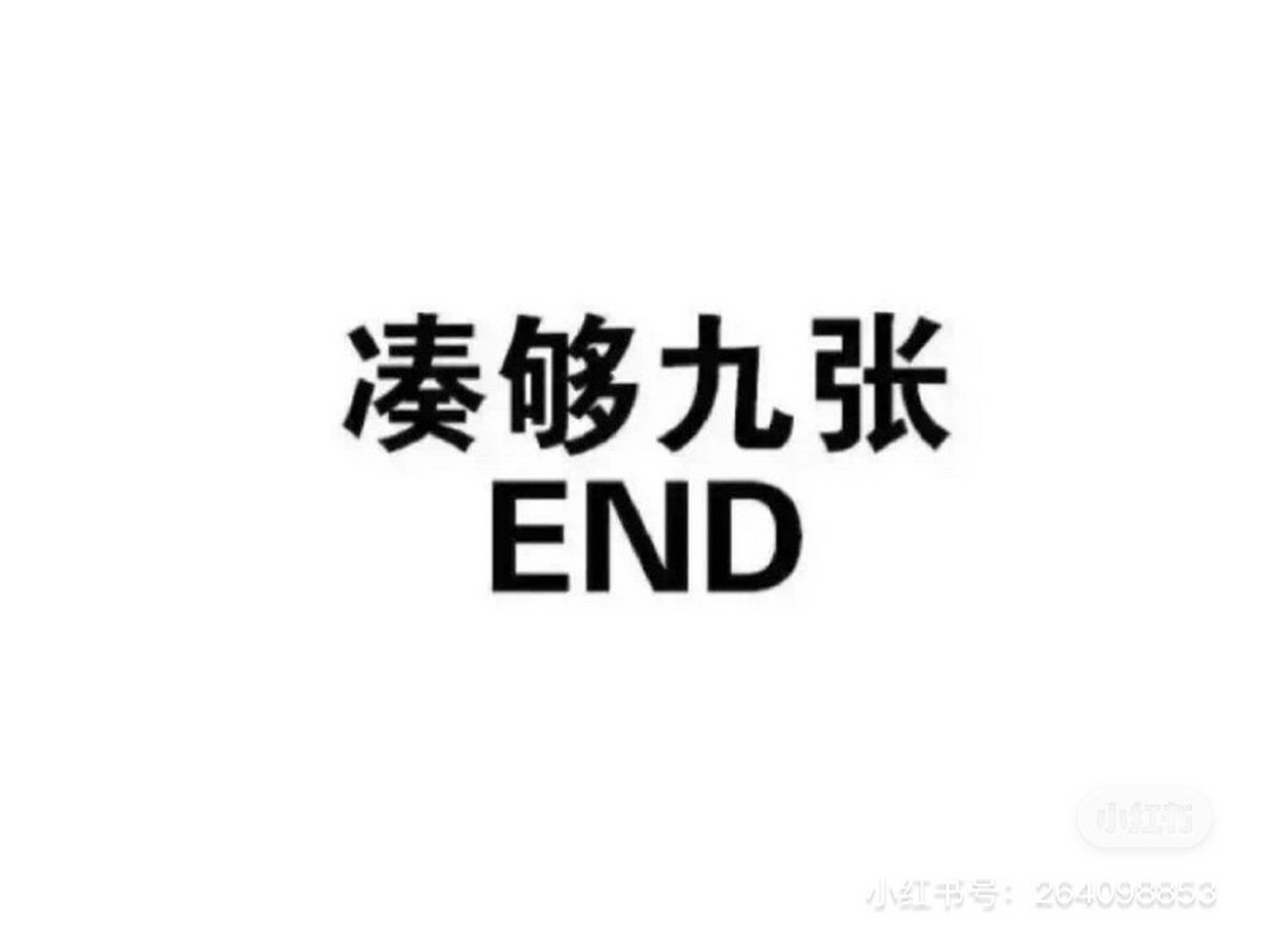 感謝大家支持我已經500粉了 心路歷程 如圖所示 心照不宣