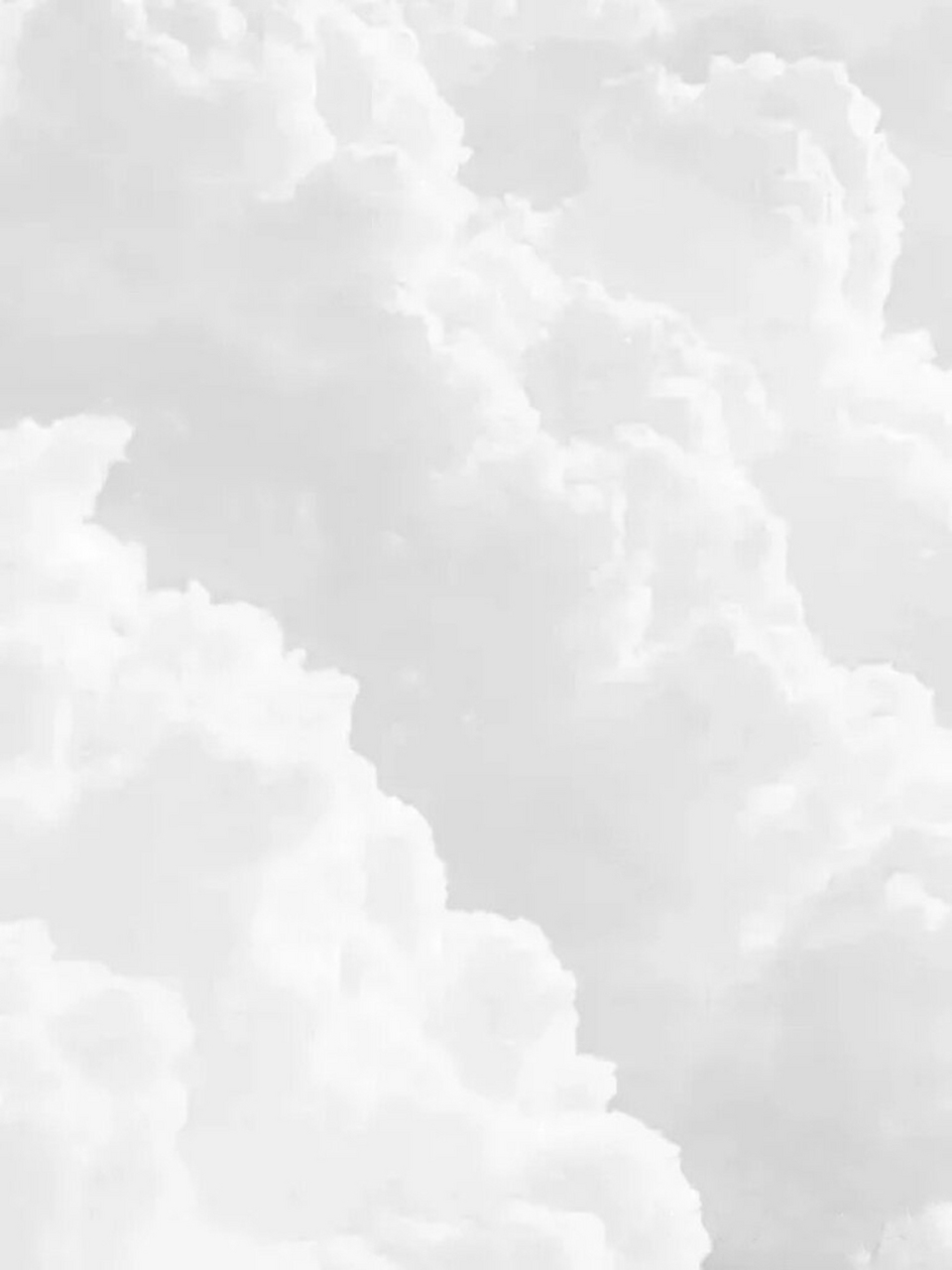 这次给大家带来的是纯白色背景图,简洁又高级!