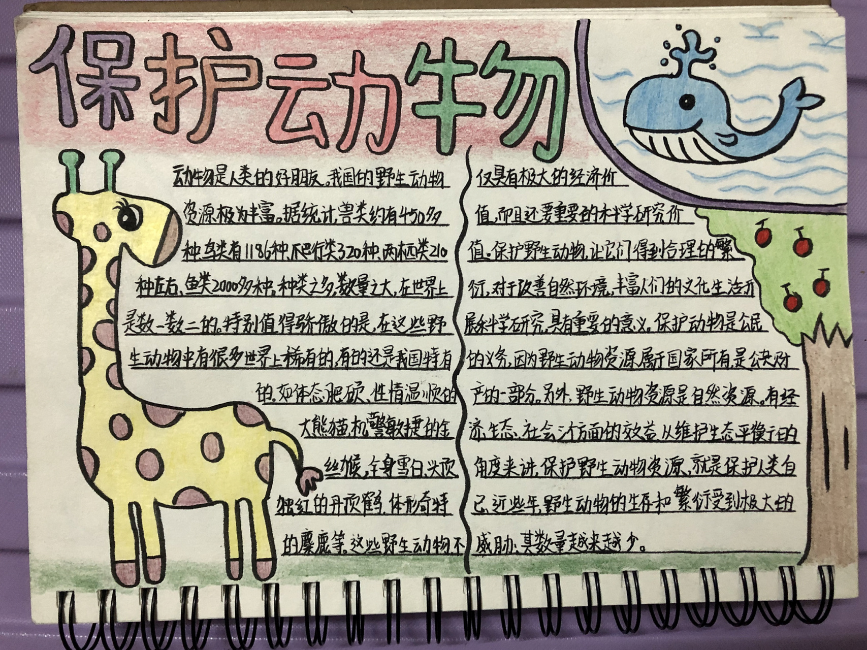 手抄报|保护动物 保护动物,与自然和谐,保护鸟类,保护野生动物,人人有