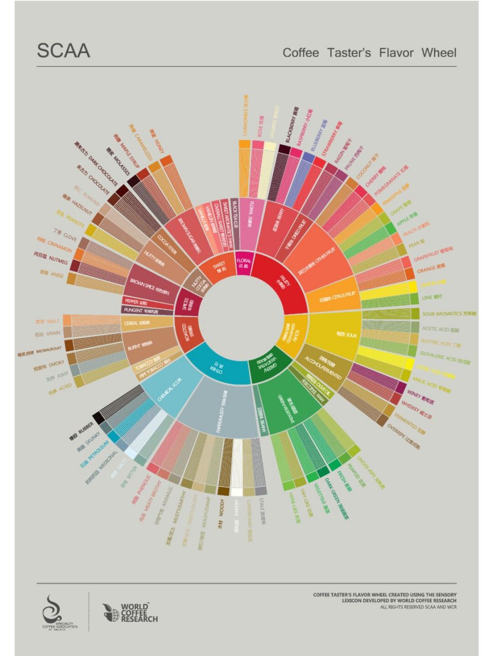 涨知识:咖啡风味轮高清中英文版,附使用方法 75咖啡风味轮是由美国