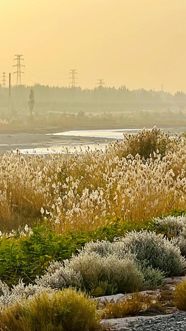 喀什克孜勒苏河秋日黄昏 喀什市沿苗圃路往疏附县,克孜勒苏河大桥西北