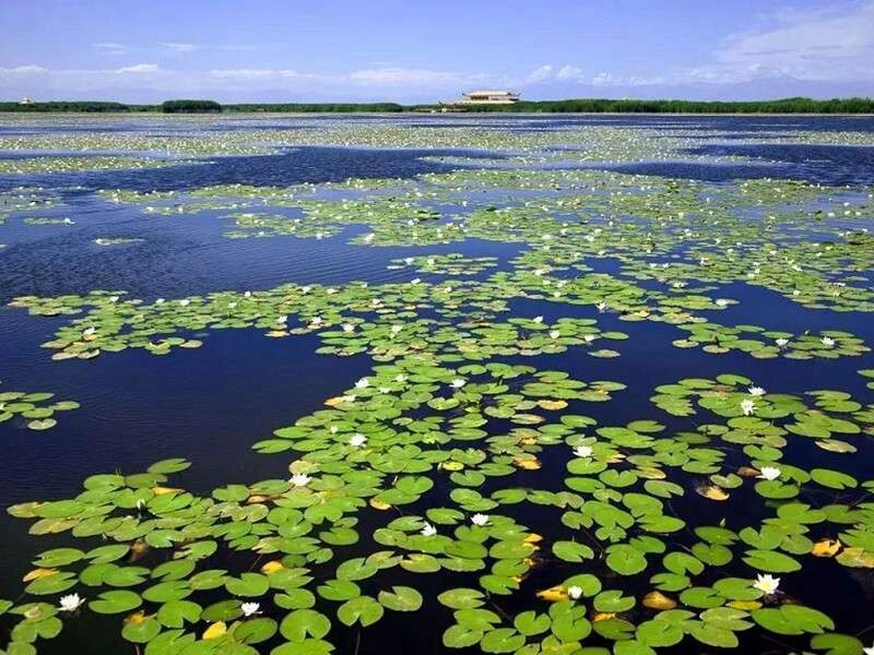 新疆5a级景区汇总之(十二)博斯腾湖 博斯腾湖(巴音郭楞蒙古自治州博湖