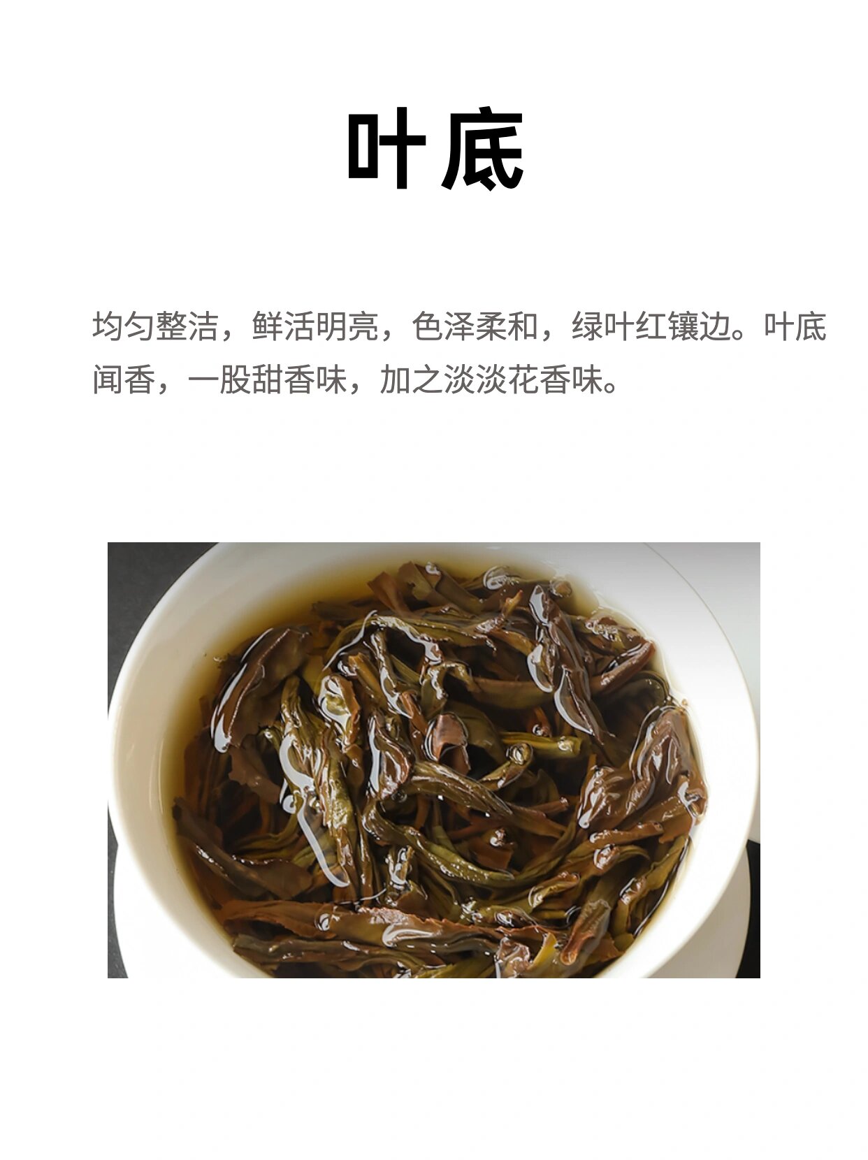 茶品种 | 桂花香单丛,又名群体,火烧种 今天要跟各位茶友聊的单丛品种
