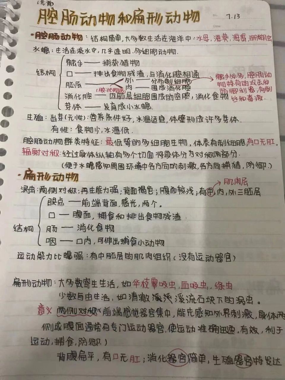 生物腔肠动物思维导图图片