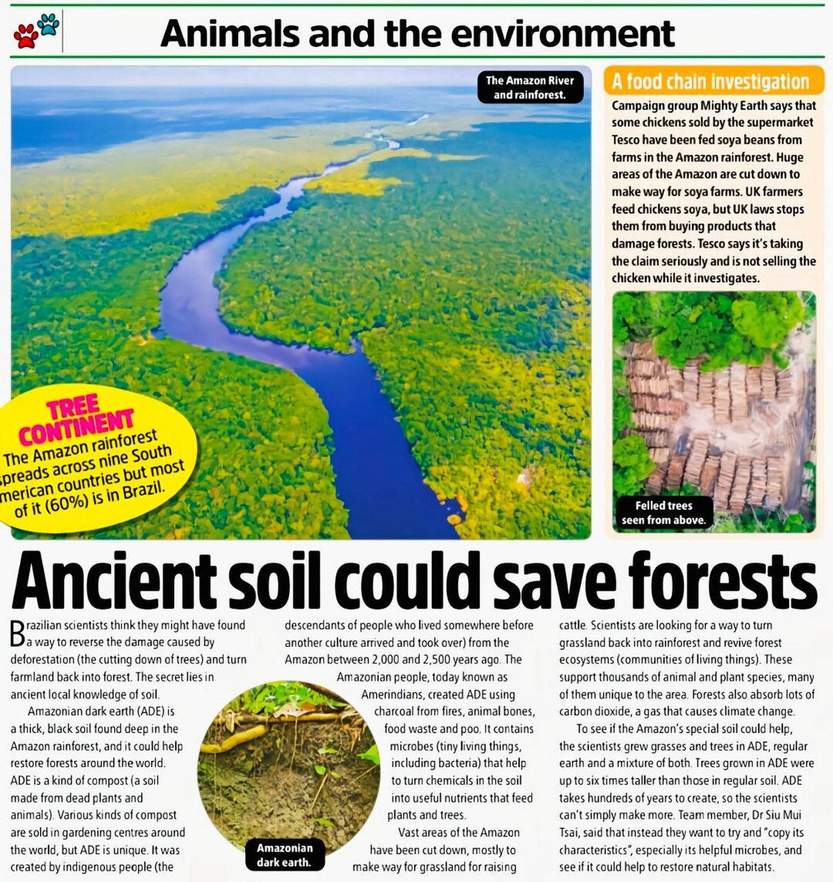 儿童英语外刊 土壤里的黄金～亚马逊黑土 亚马逊森林有一种很特别的