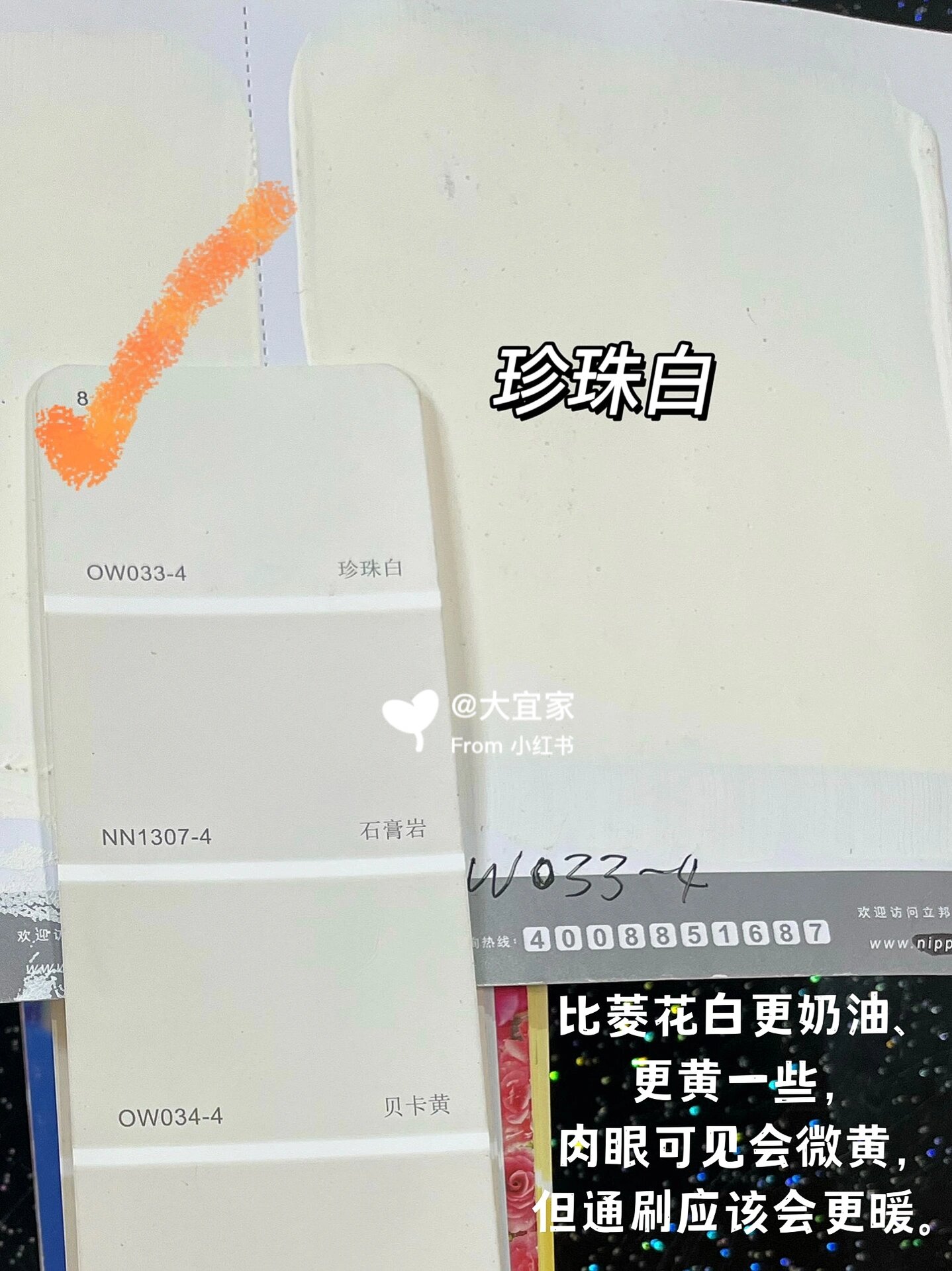 治好选色纠结症超绝的立邦选色方法❗️❗️