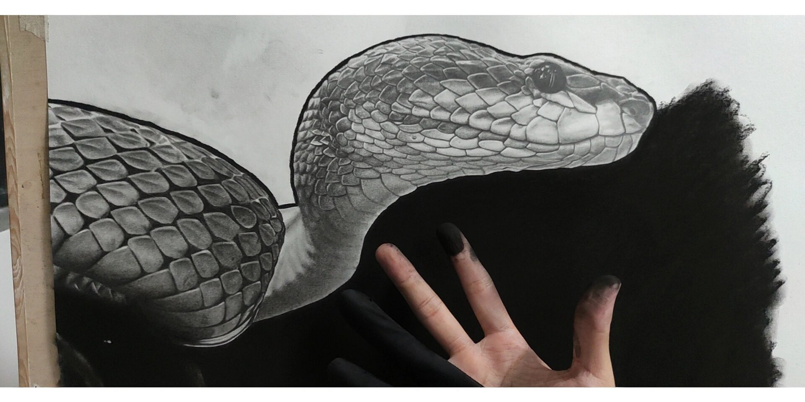 蛇张嘴素描图片