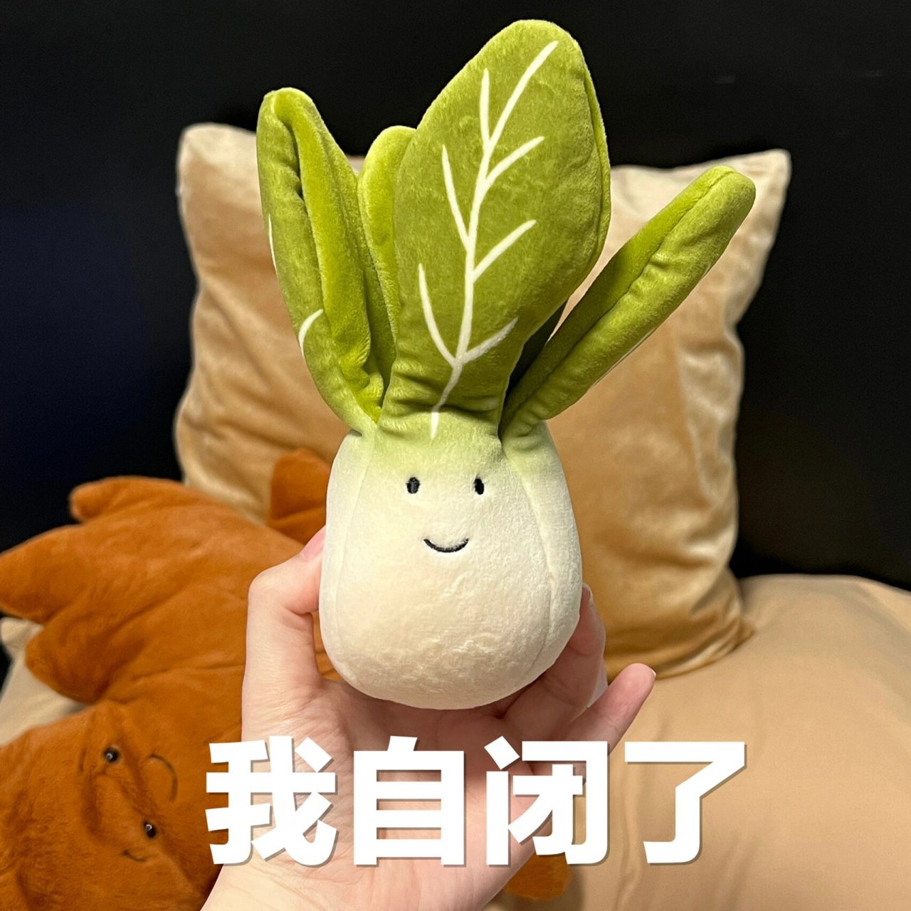 jellycat小白菜也太太太可爱了! 完全不输给表情包大王jellycat茄子