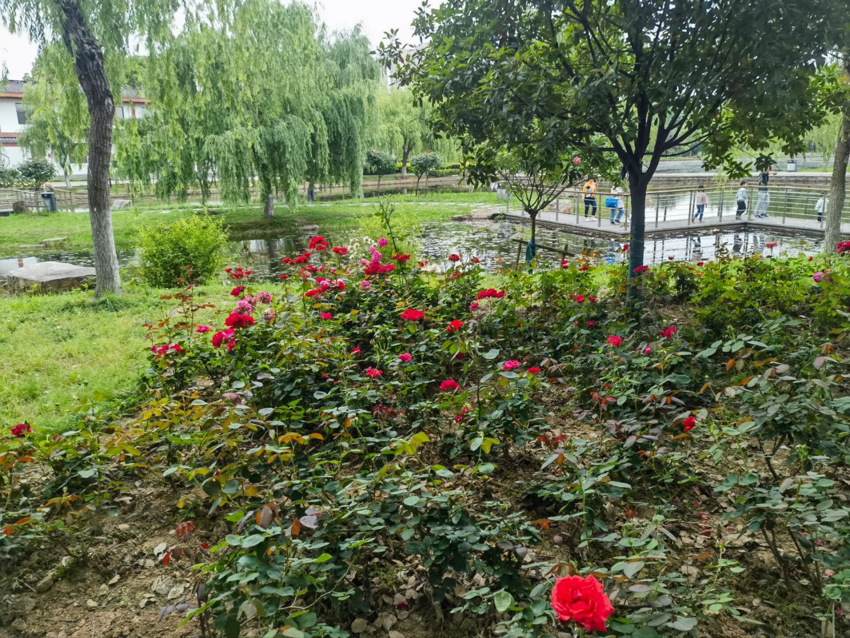 汤湖公园:武汉沌口的休闲好去处 公园位于武汉经济技术开发区(沌口)内