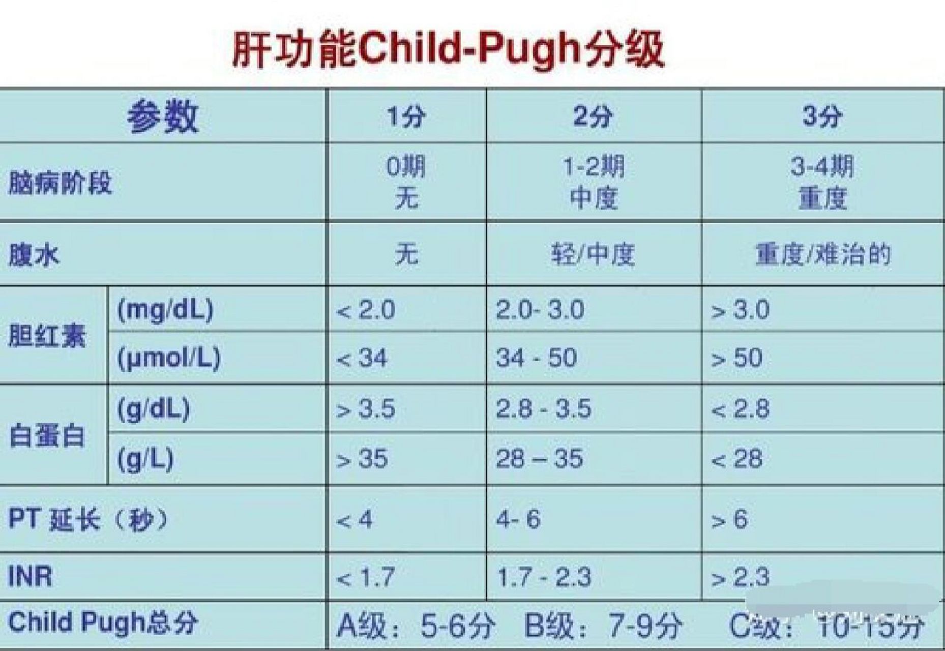 肝功能child分级图片