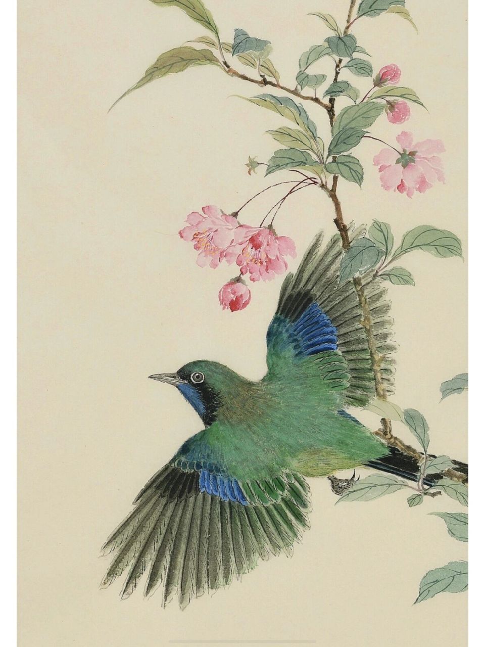 张十安丨李易安词意 #艺术# #国画# #工笔画# #国画花鸟