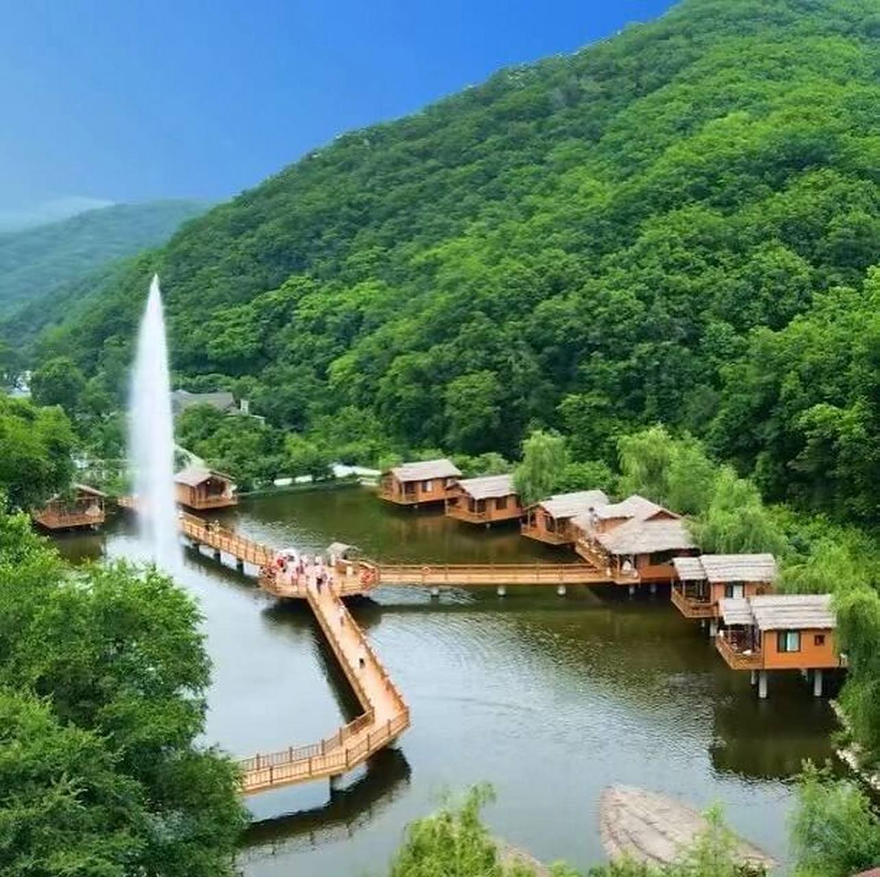 抚顺参仙谷 96【抚顺参仙谷】5971528日 【历时三年打造盛大