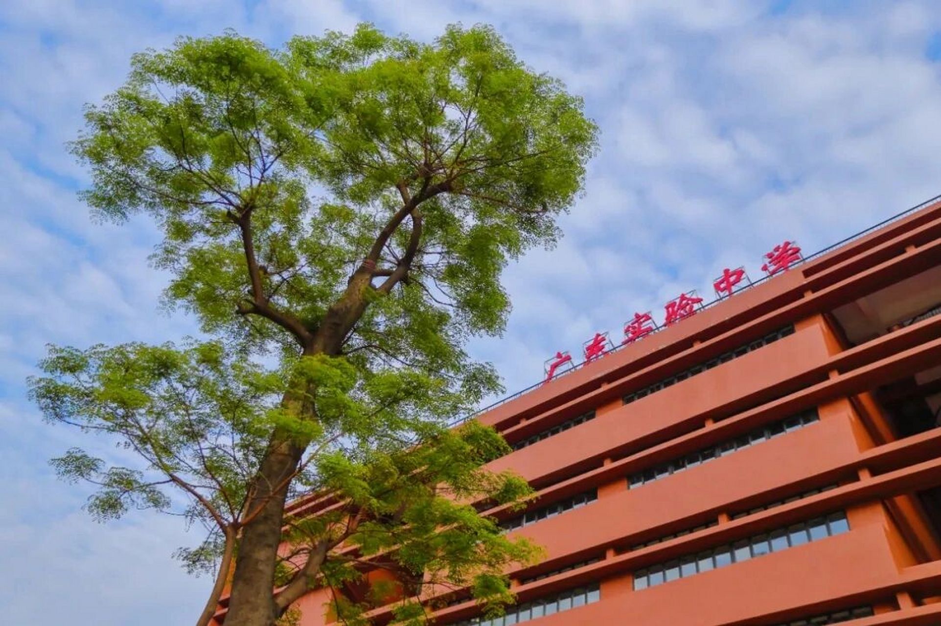 天啦,省实这么高颜值的校园你会忍住不爱吗 广东省实验中学高中部图书